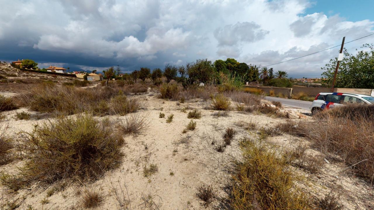 Fincas y solares-Venta-Mutxamel-1413929-Foto-6