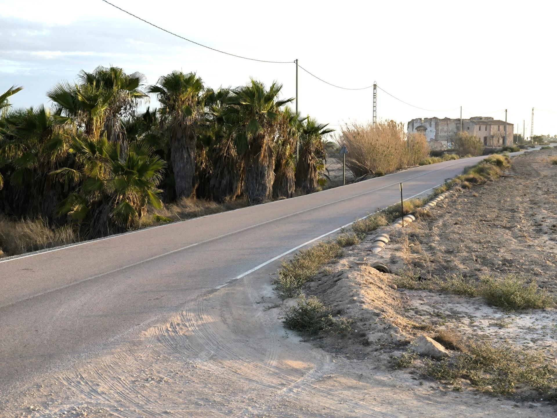 Fincas y solares-Venta-La Marina-1421855