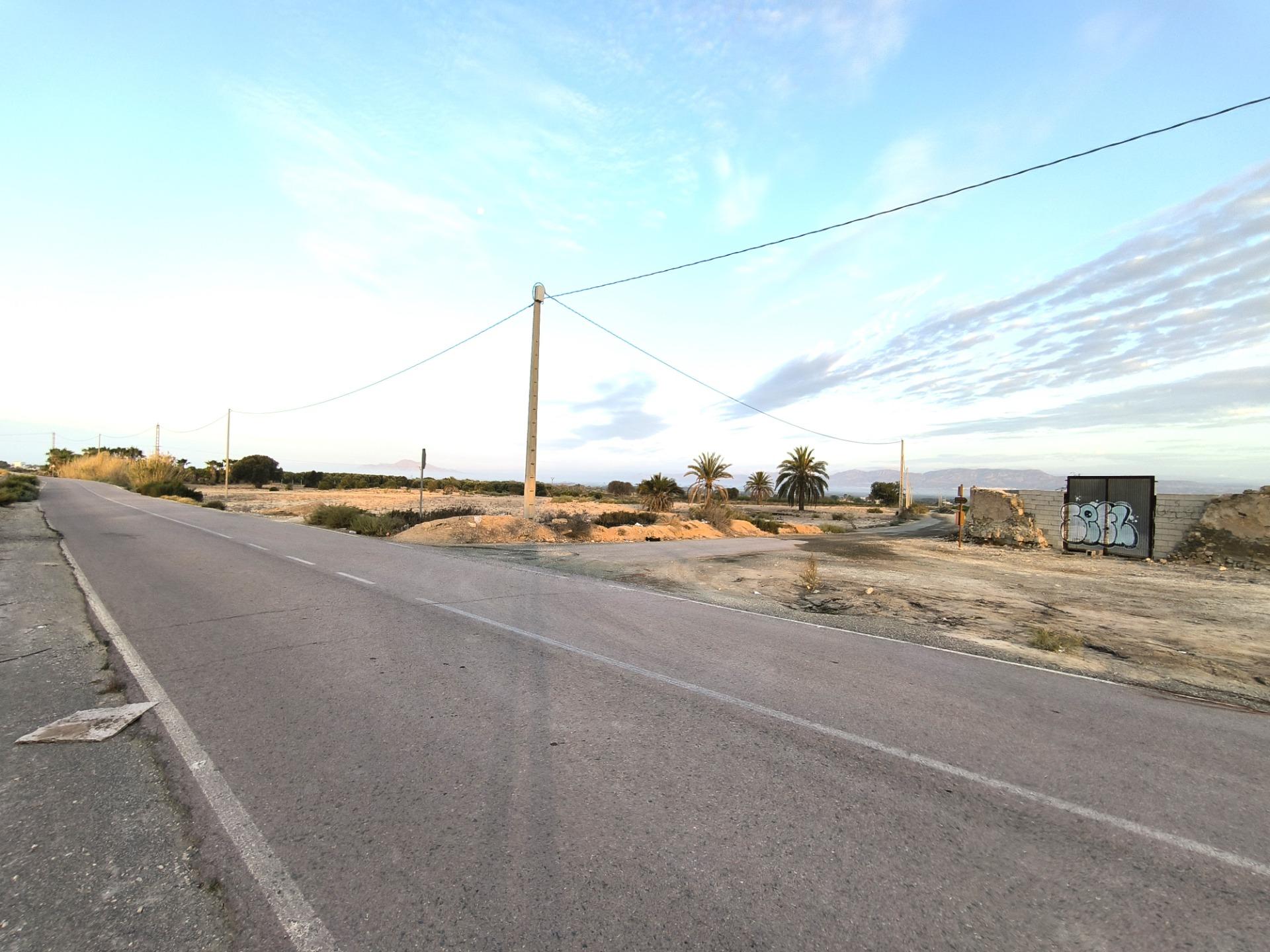 Fincas y solares-Venta-La Marina-1421855-Foto-4