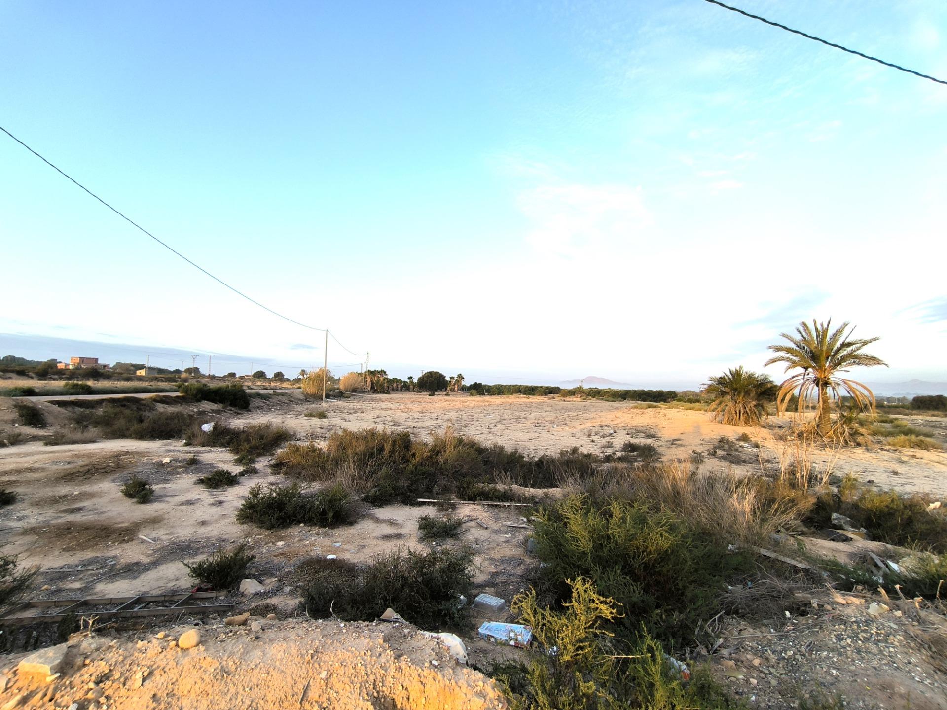 Fincas y solares-Venta-La Marina-1421855-Foto-5