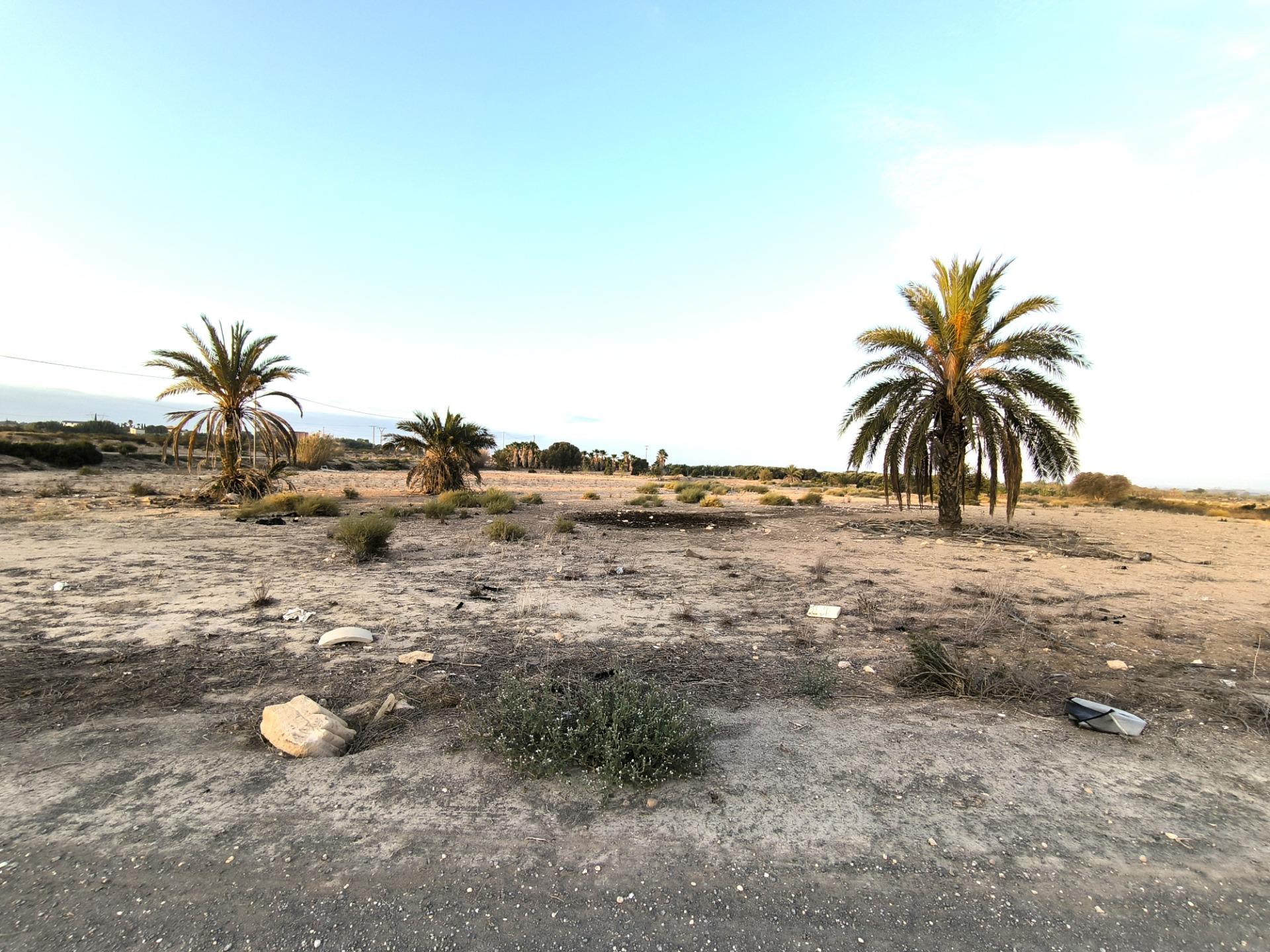 Fincas y solares-Venta-La Marina-1421855-Foto-6