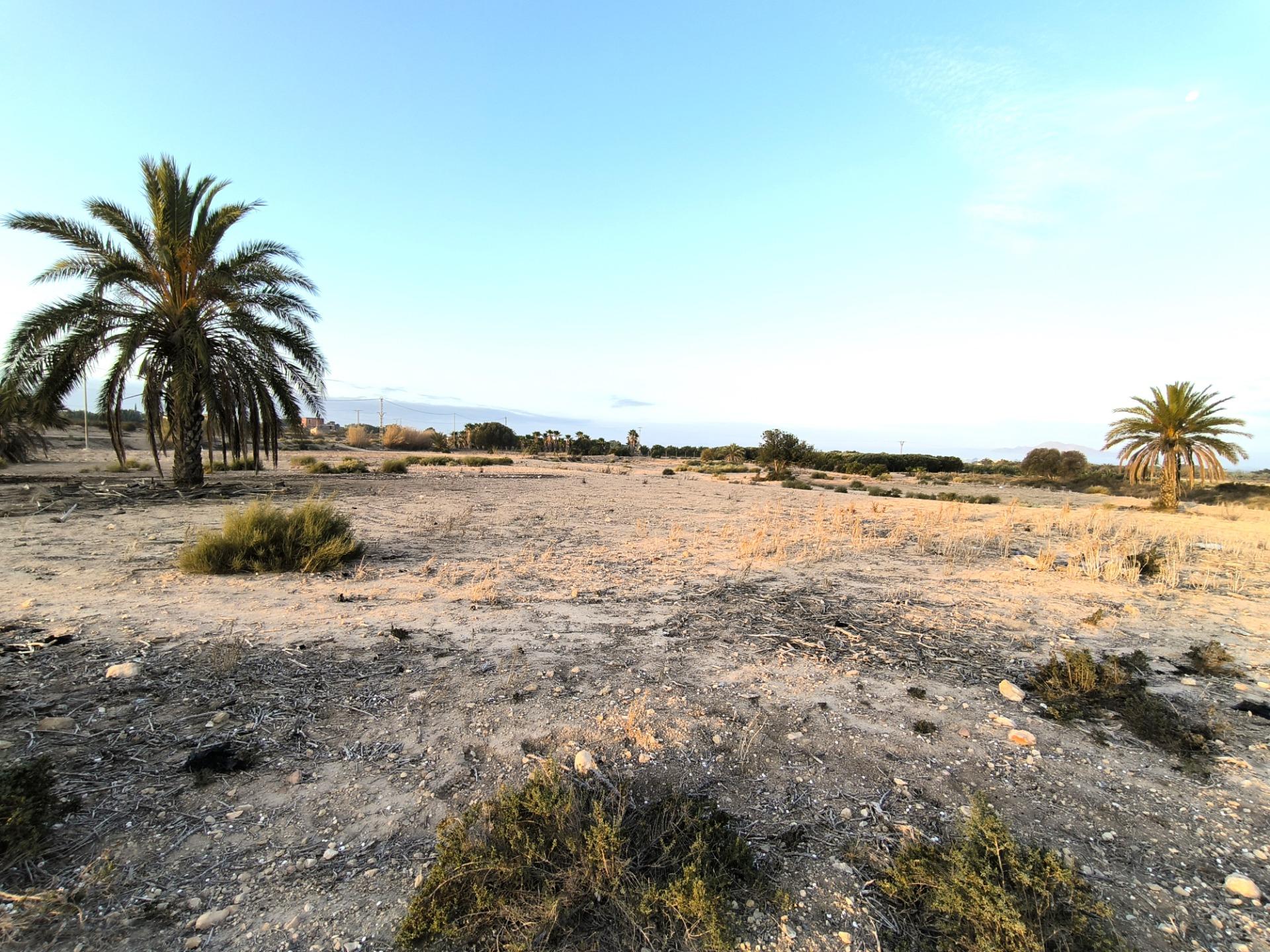 Fincas y solares-Venta-La Marina-1421855-Foto-7