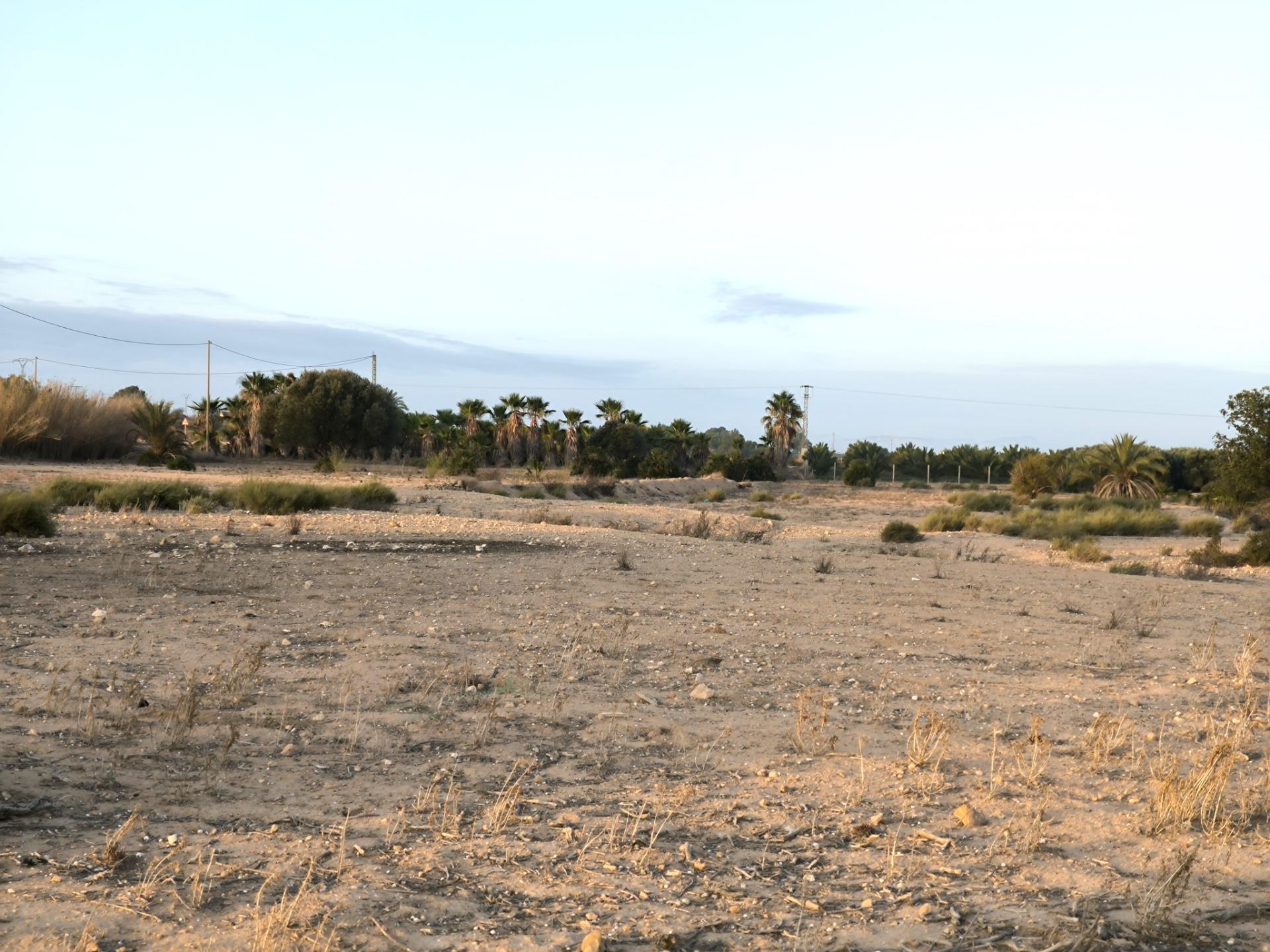Fincas y solares-Venta-La Marina-1421855-Foto-8