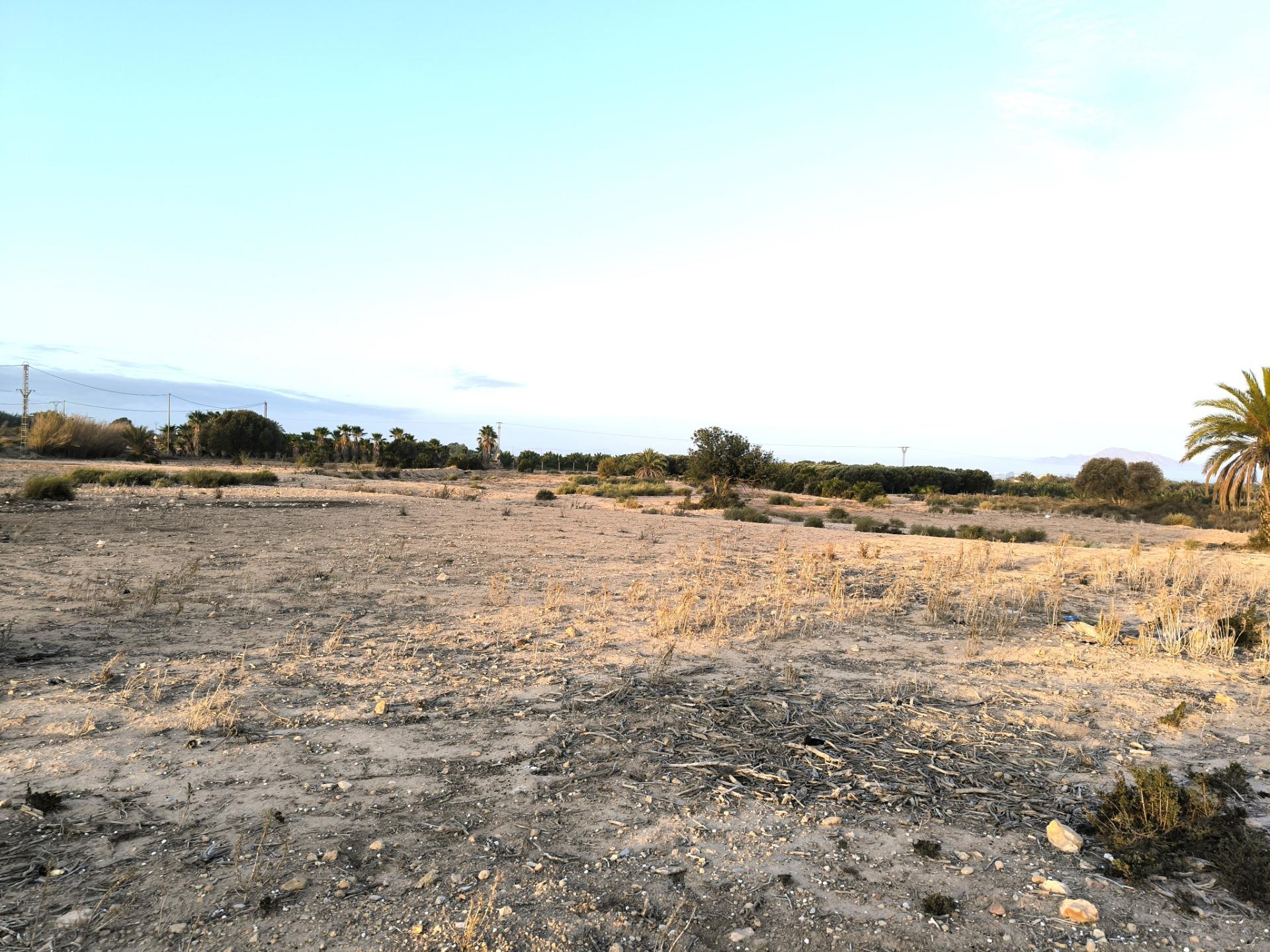 Fincas y solares-Venta-La Marina-1421855-Foto-9