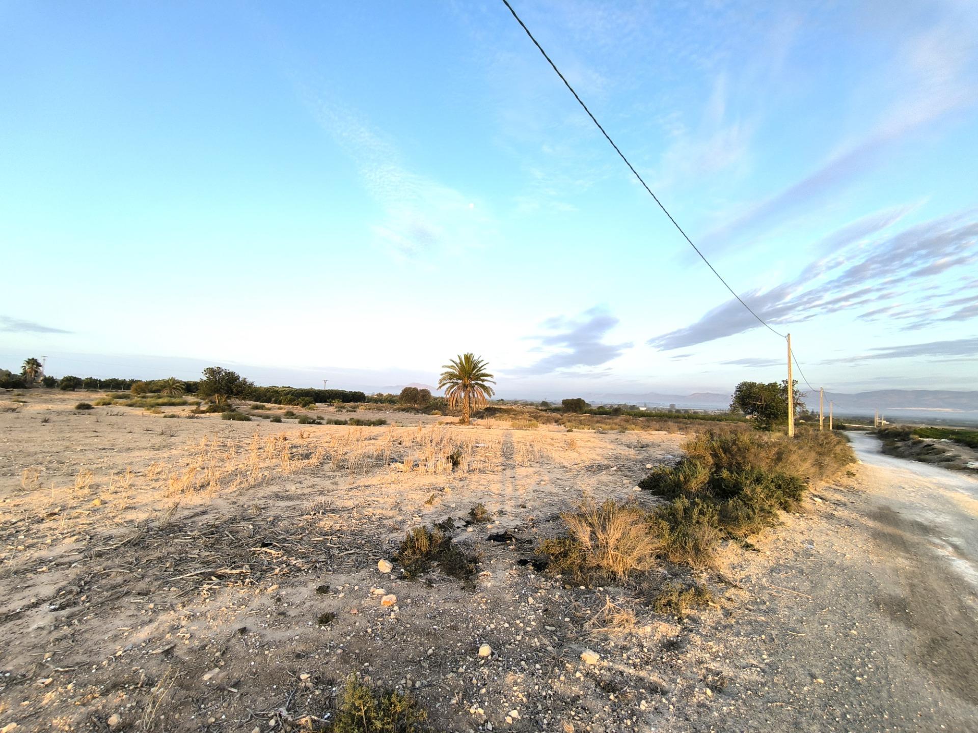 Fincas y solares-Venta-La Marina-1421855-Foto-10
