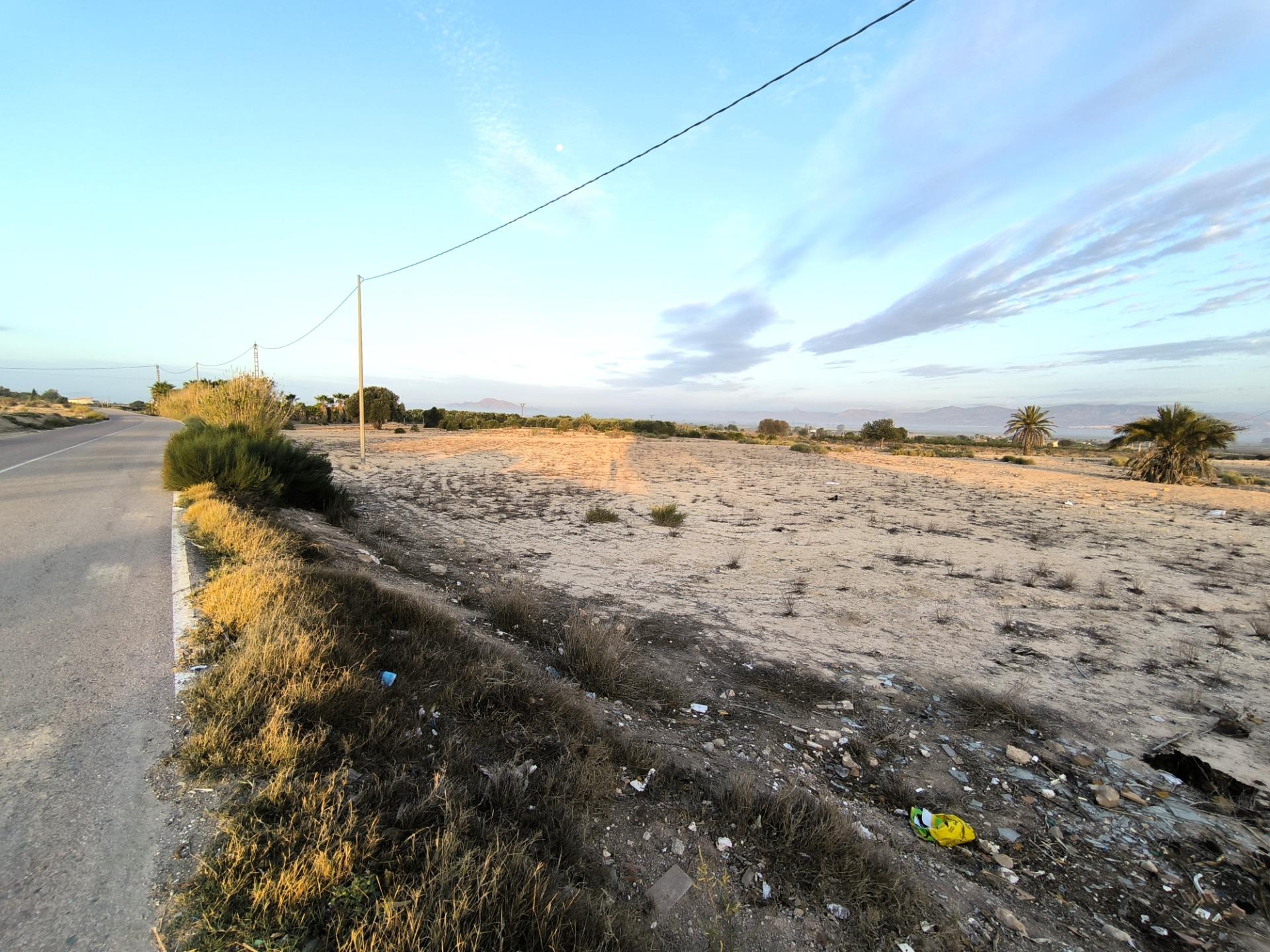 Fincas y solares-Venta-La Marina-1421855-Foto-13