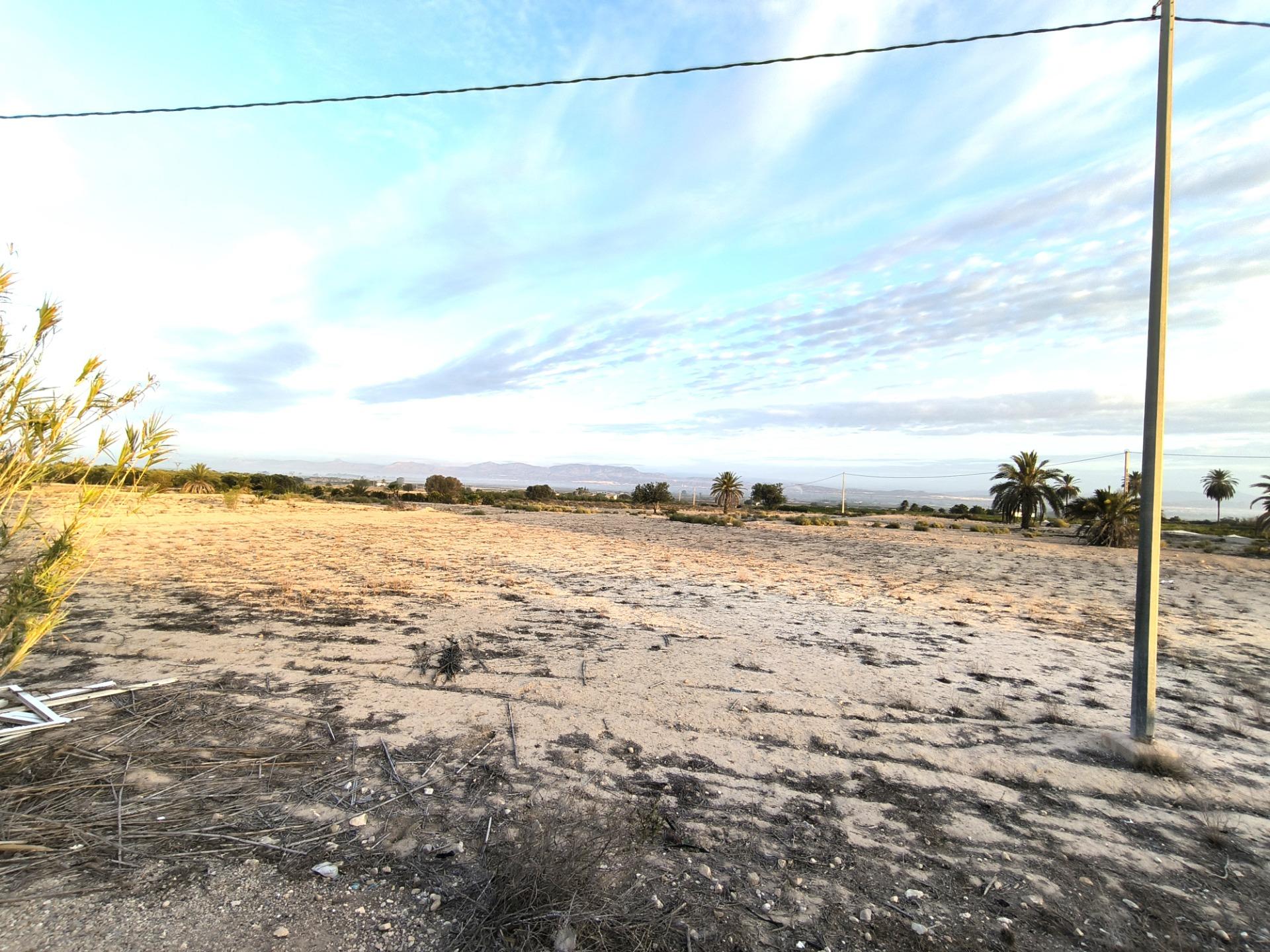 Fincas y solares-Venta-La Marina-1421855-Foto-14