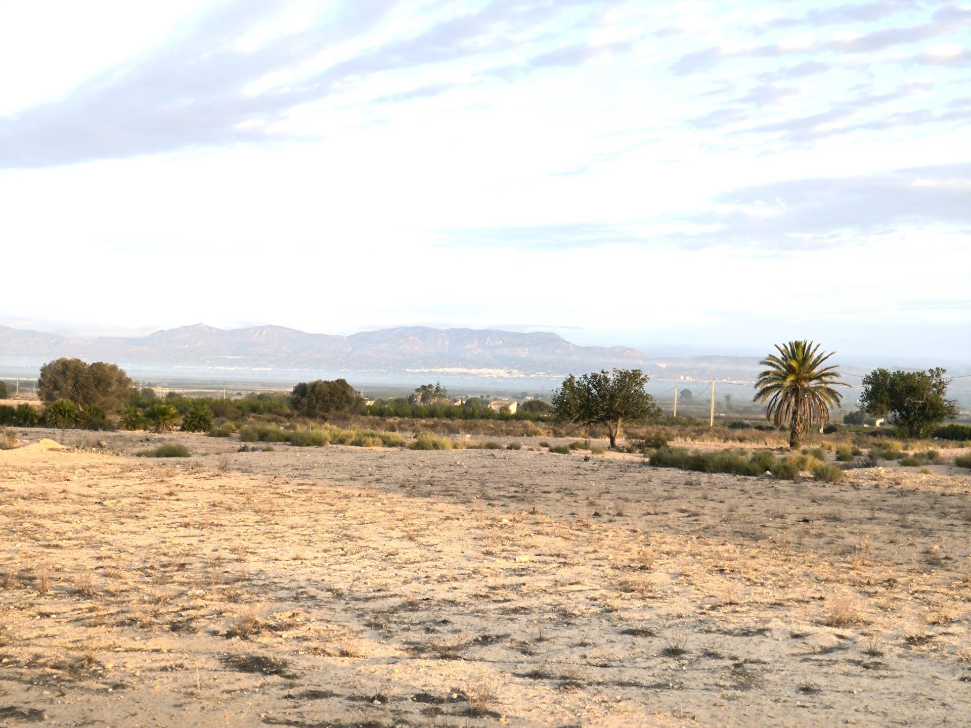 Fincas y solares-Venta-La Marina-1421855-Foto-15