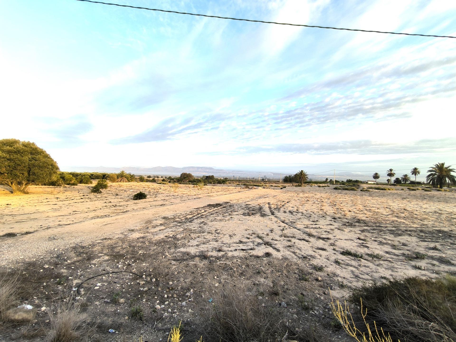 Fincas y solares-Venta-La Marina-1421855-Foto-16