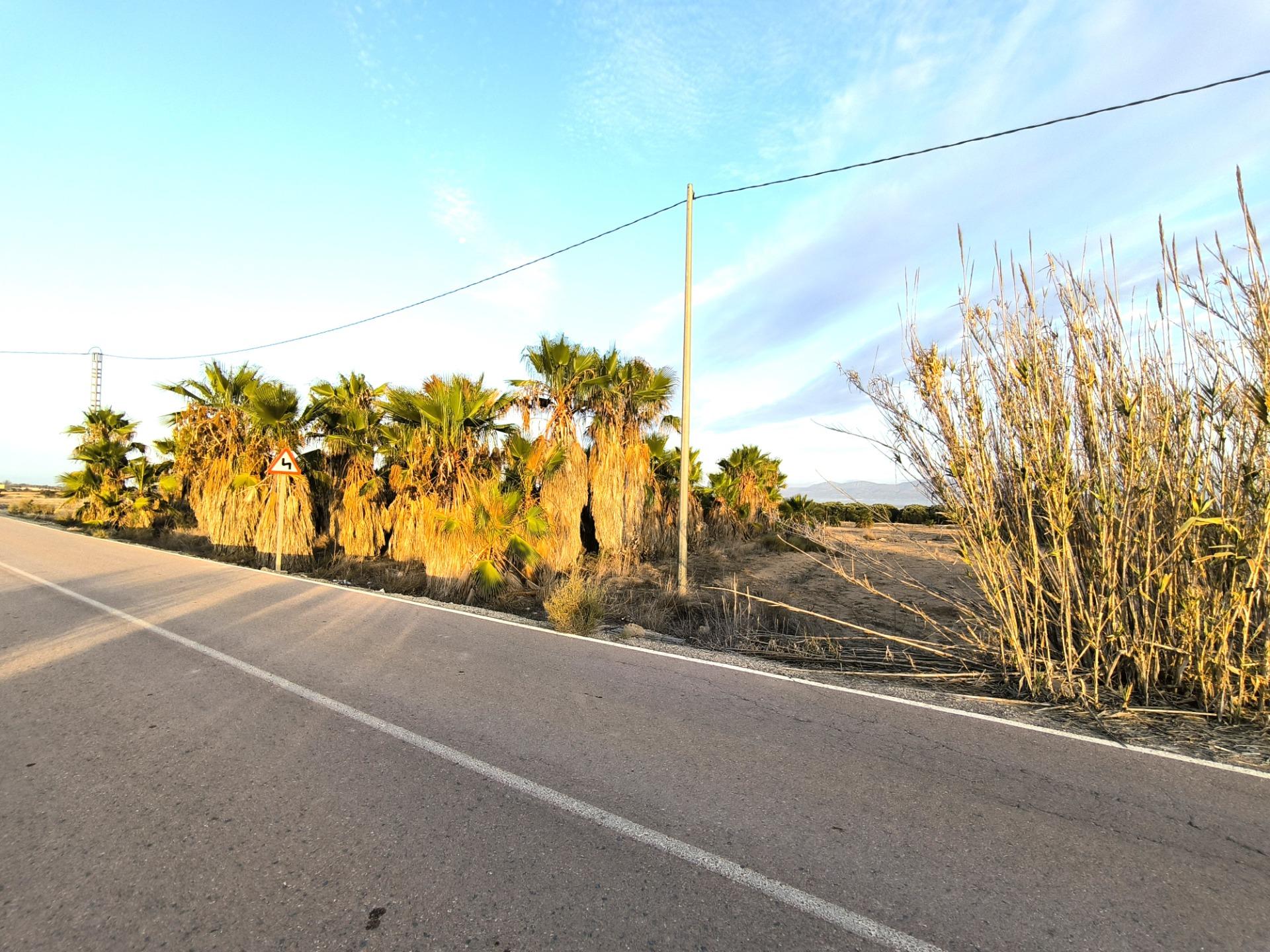 Fincas y solares-Venta-La Marina-1421855-Foto-21