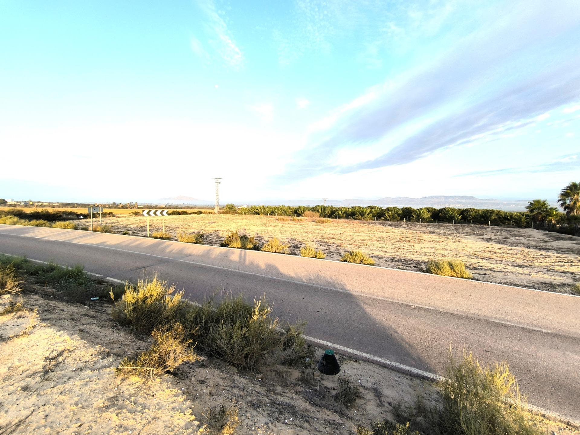 Fincas y solares-Venta-La Marina-1421855-Foto-25