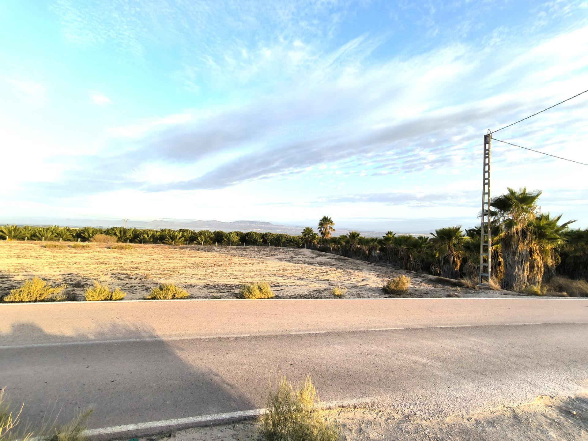 Fincas y solares-Venta-La Marina-1421855-Foto-27