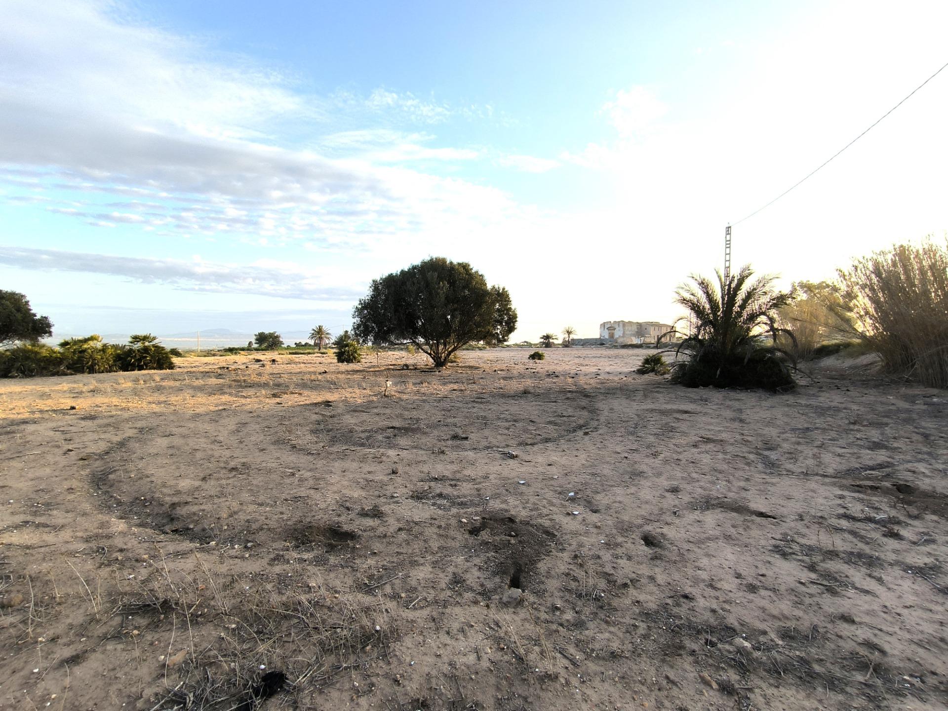 Fincas y solares-Venta-La Marina-1421855-Foto-29