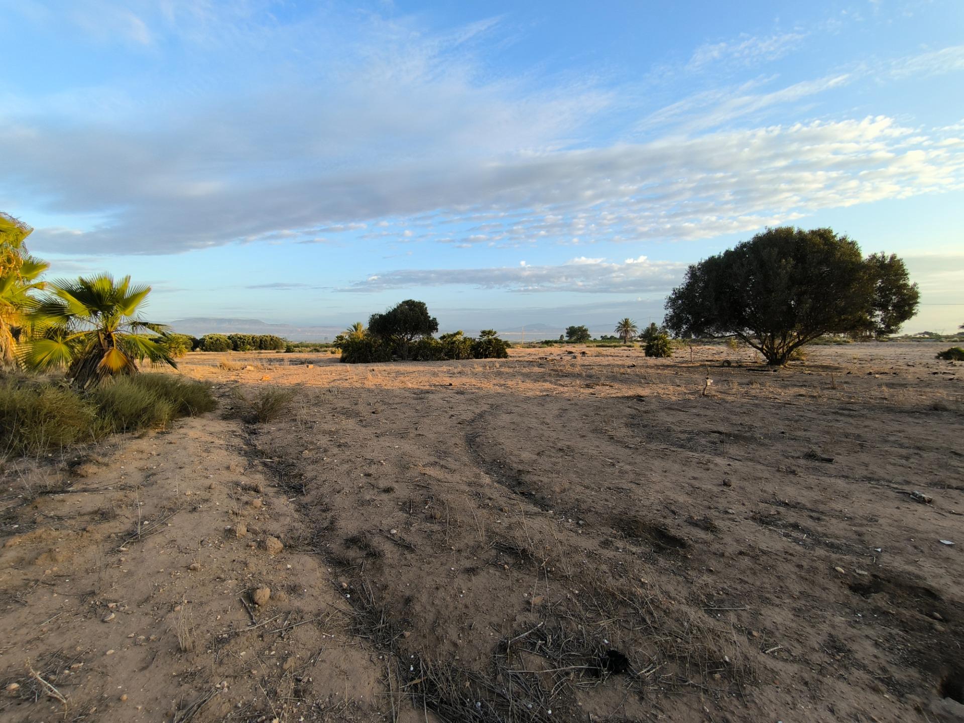 Fincas y solares-Venta-La Marina-1421855-Foto-30