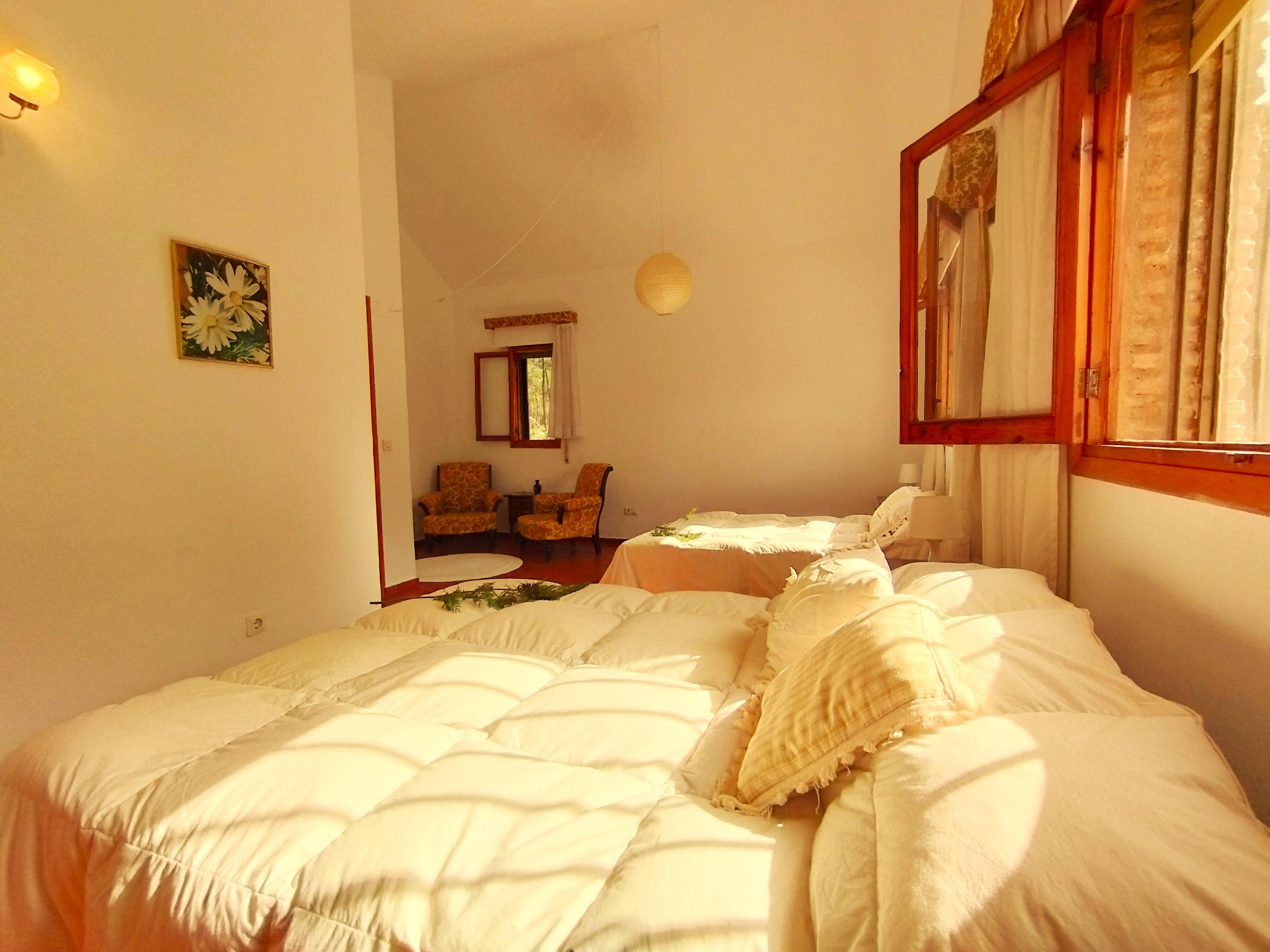 Casas o chalets-Venta-Isla Cristina-1094778