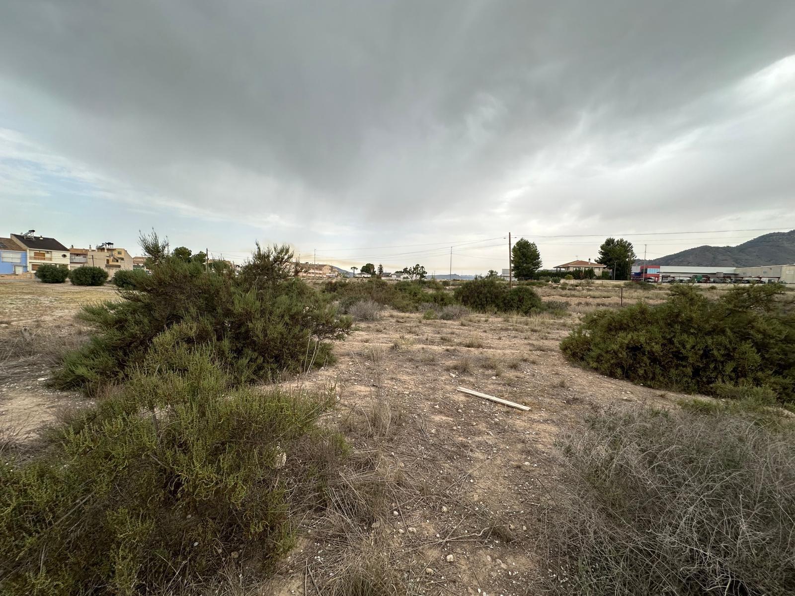 Fincas y solares-Venta-Blanca-1432291-Foto-5