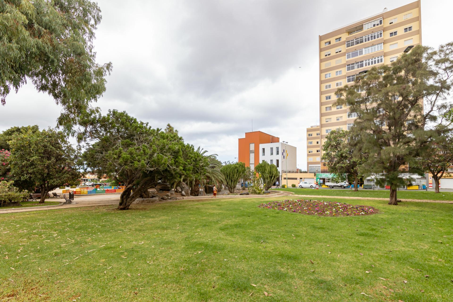 Negocios-Venta-Las Palmas de Gran Canaria-1461733-Foto-4