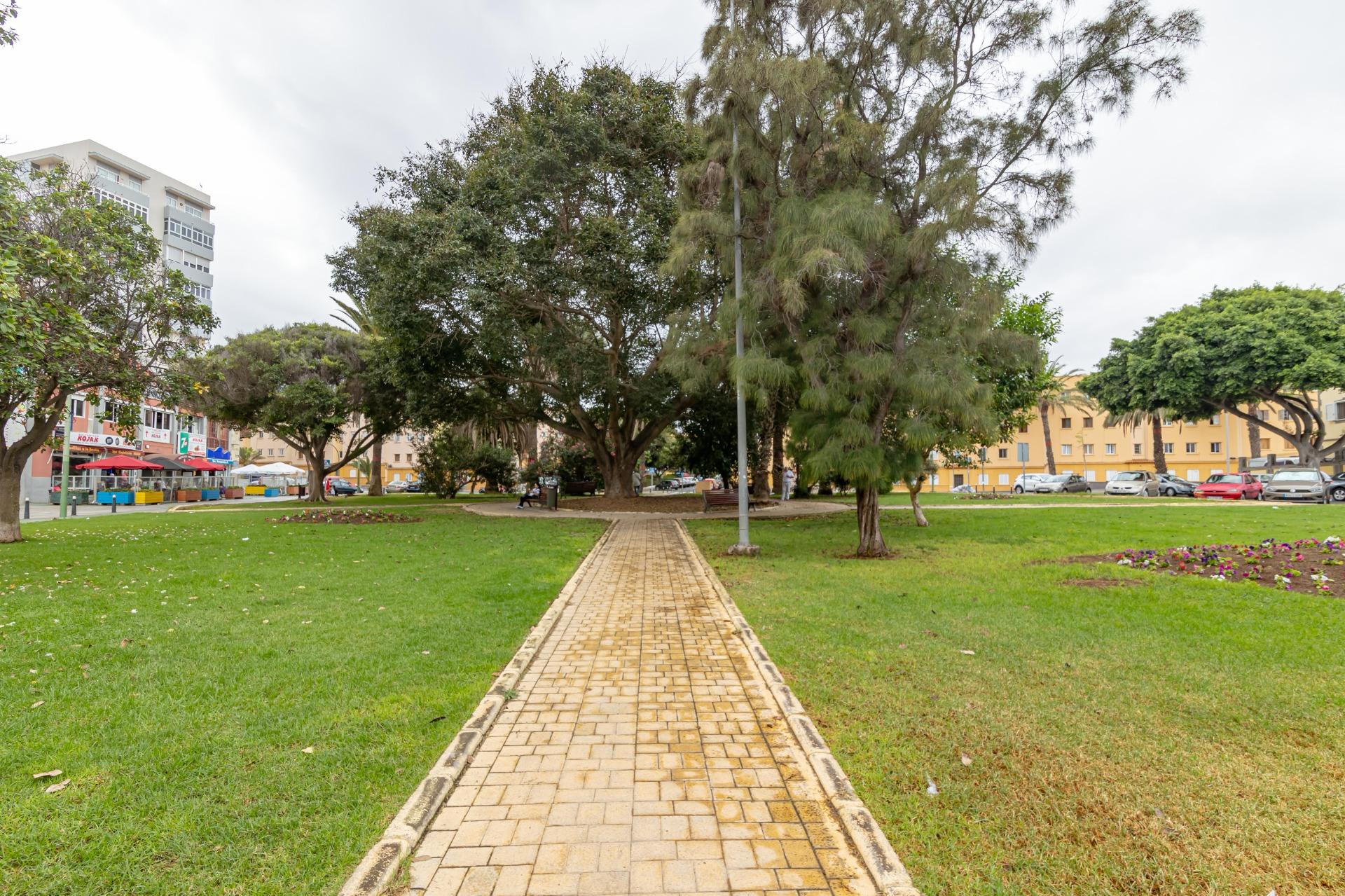 Negocios-Venta-Las Palmas de Gran Canaria-1461733-Foto-5
