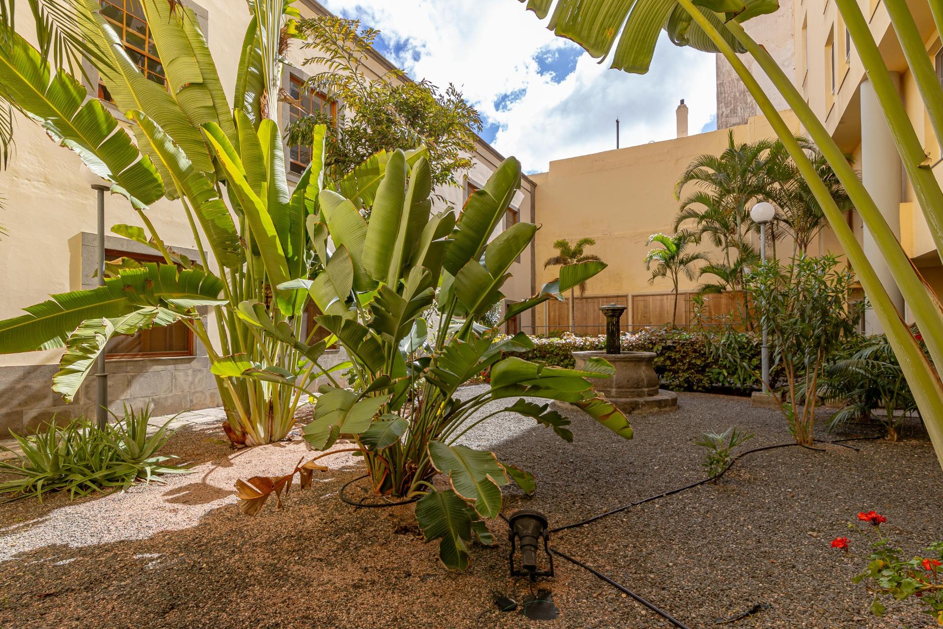 Pisos-Venta-Las Palmas de Gran Canaria-1025607-Foto-37