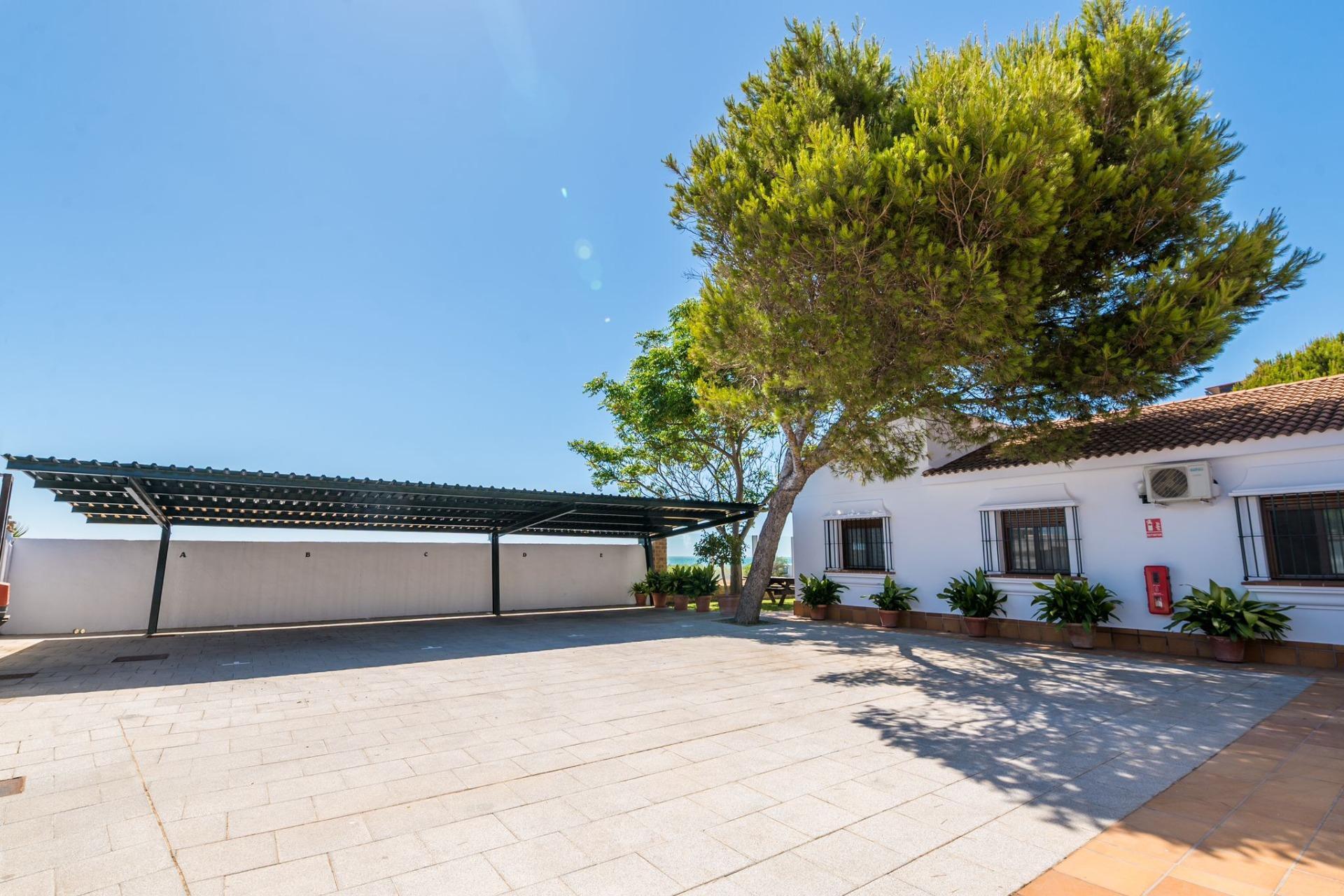Casas o chalets-Venta-Chiclana de la Frontera-1480105-Foto-19