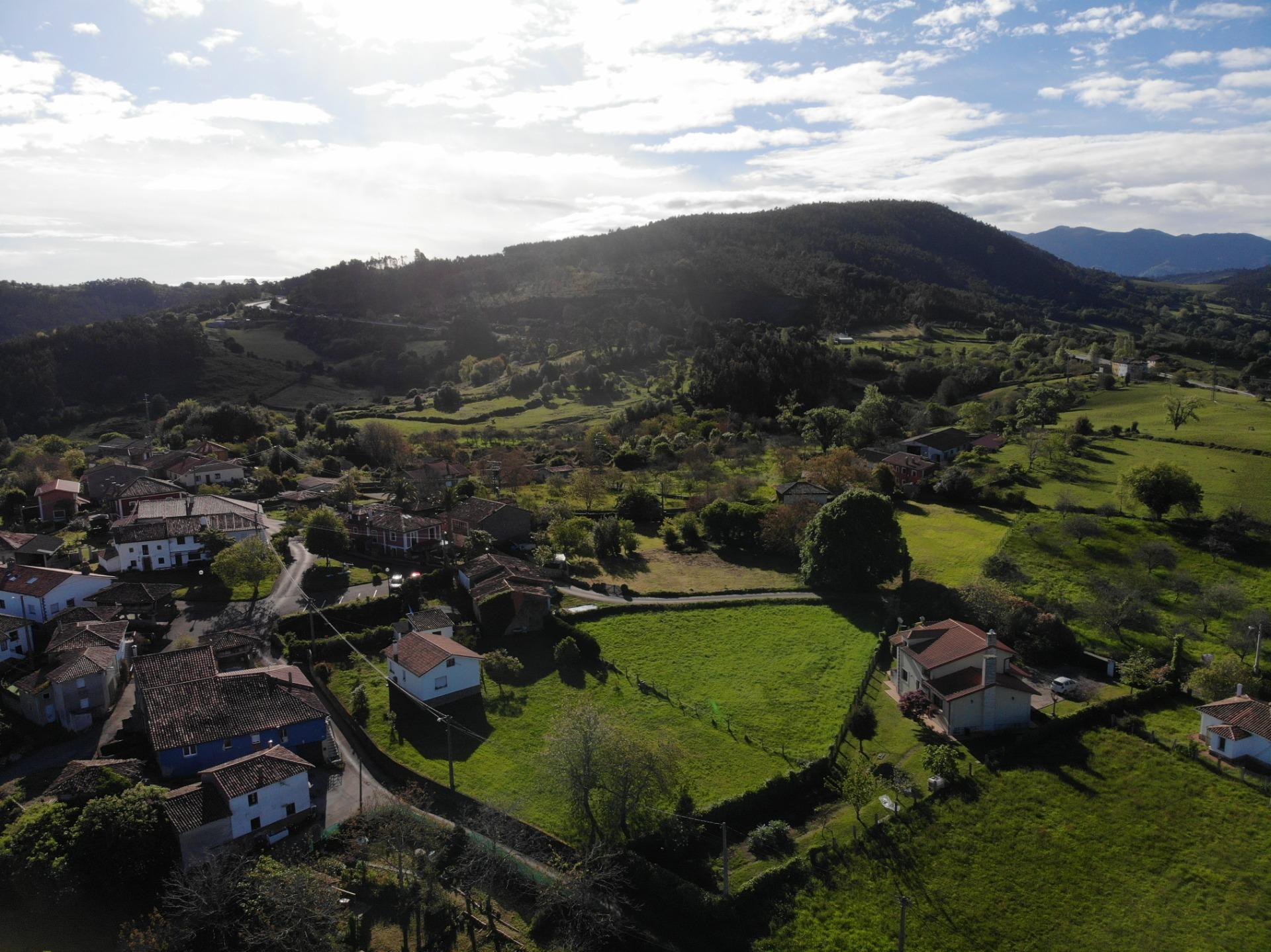 Fincas y solares-Venta-Villaviciosa-1092456-Foto-3