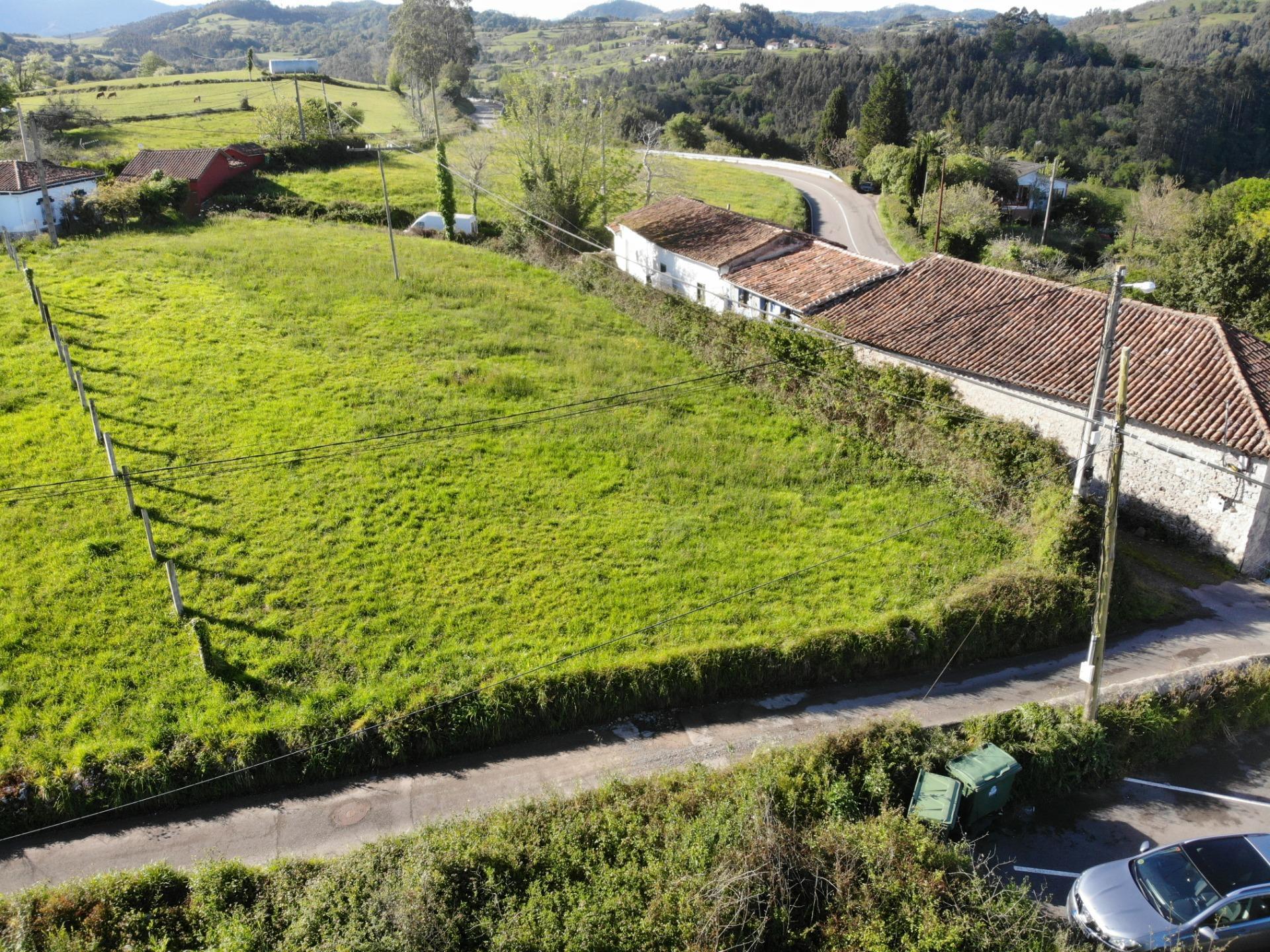 Fincas y solares-Venta-Villaviciosa-1092456-Foto-5