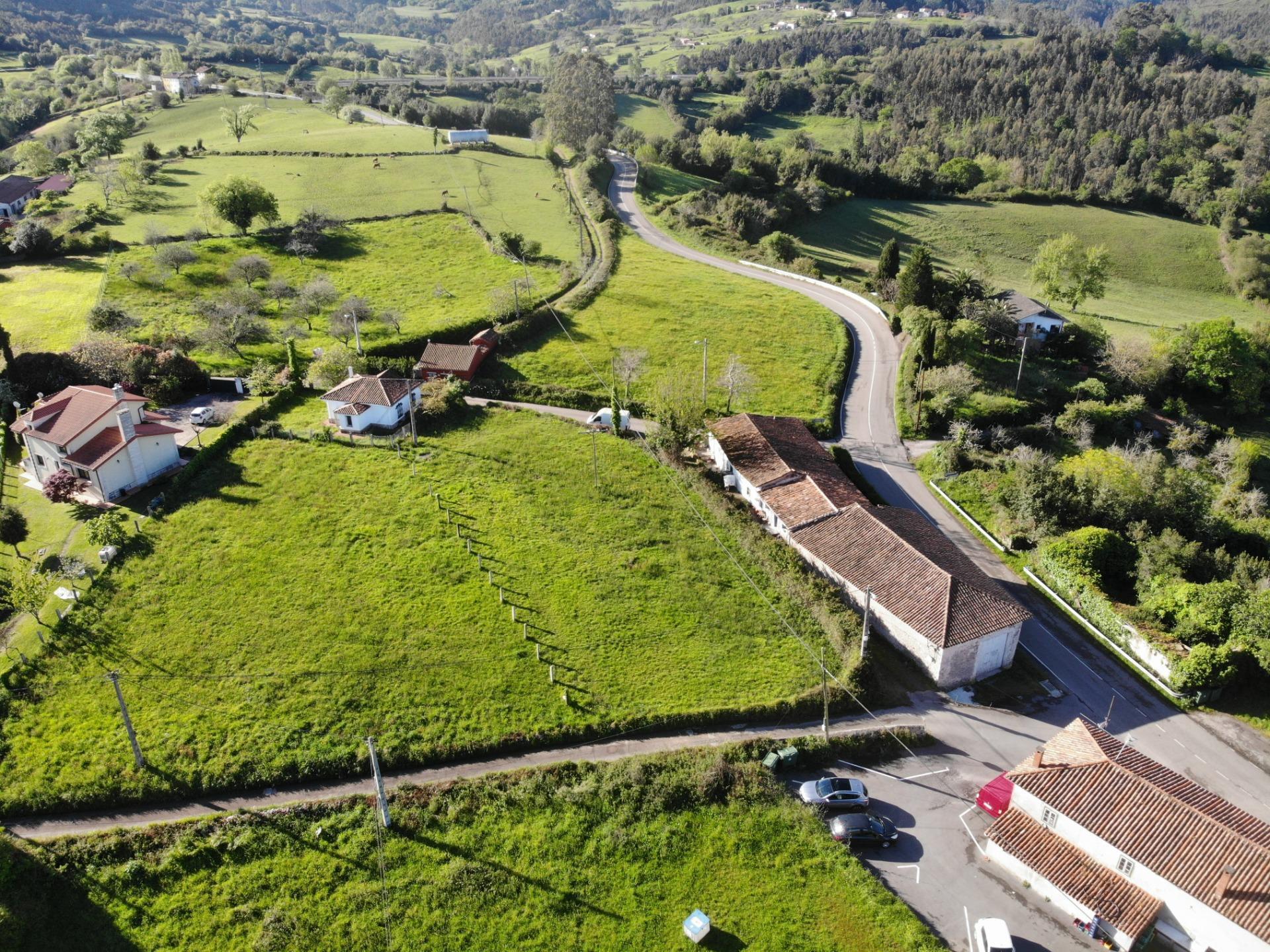 Fincas y solares-Venta-Villaviciosa-1092456-Foto-6