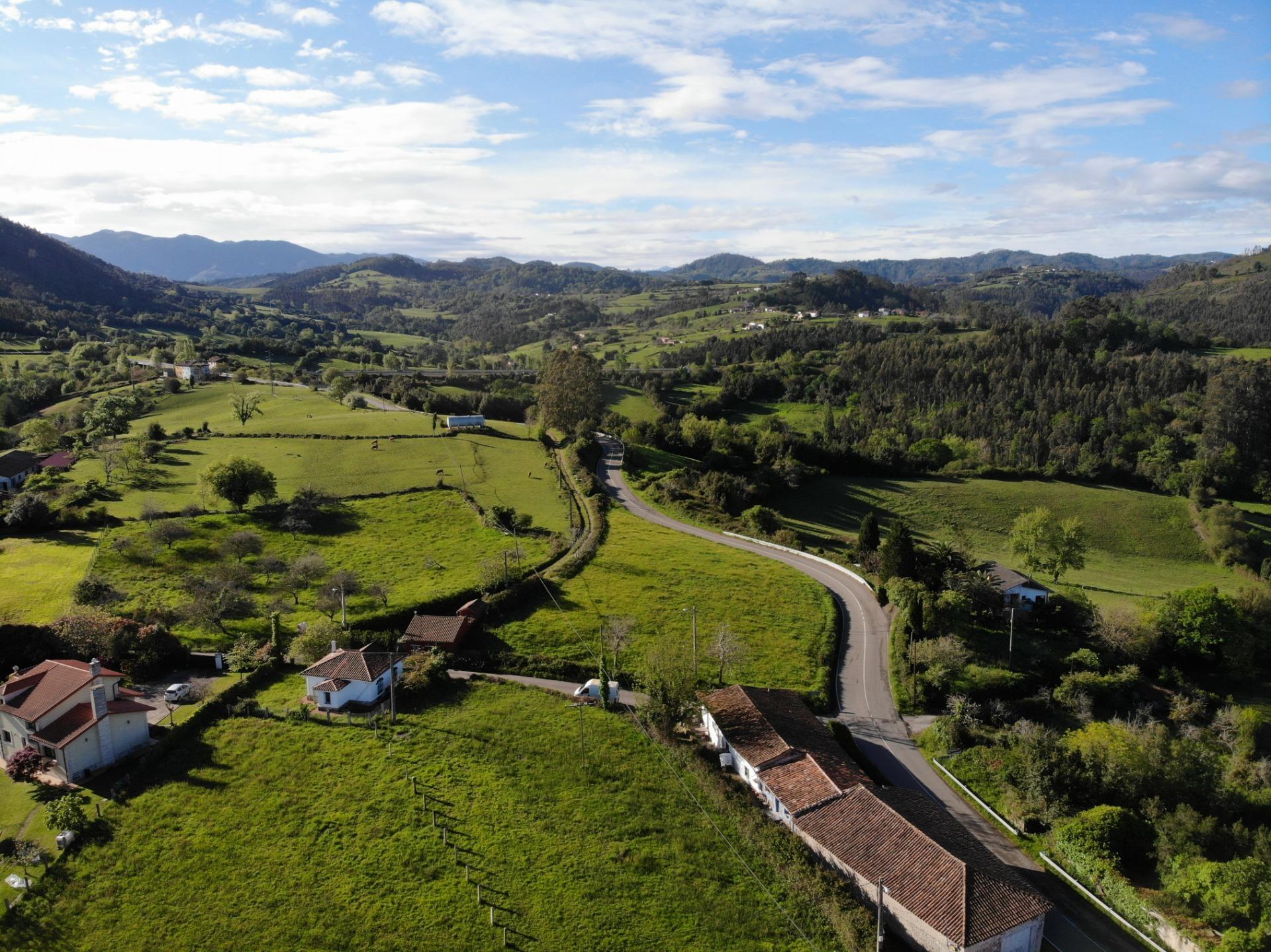 Fincas y solares-Venta-Villaviciosa-1092456-Foto-4