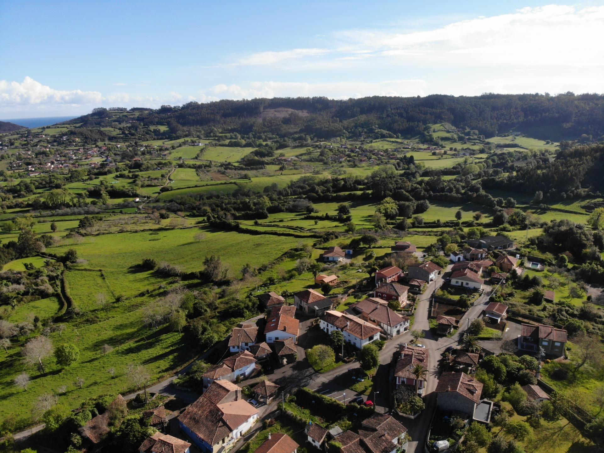 Fincas y solares-Venta-Villaviciosa-1092456-Foto-12