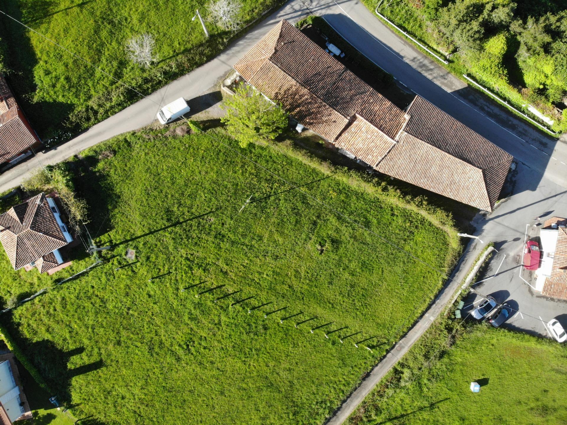 Fincas y solares-Venta-Villaviciosa-1092456-Foto-8