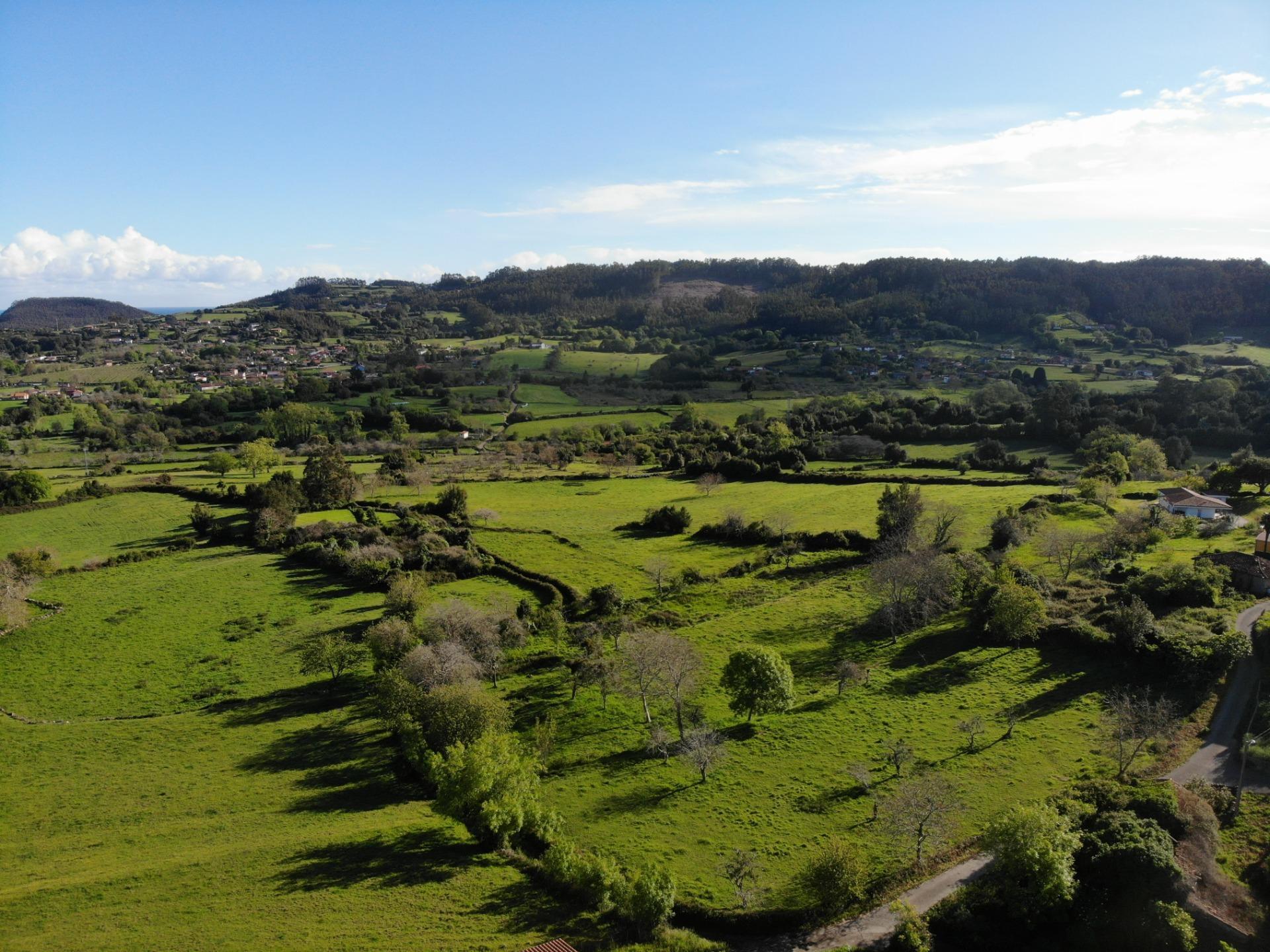 Fincas y solares-Venta-Villaviciosa-1092456-Foto-21