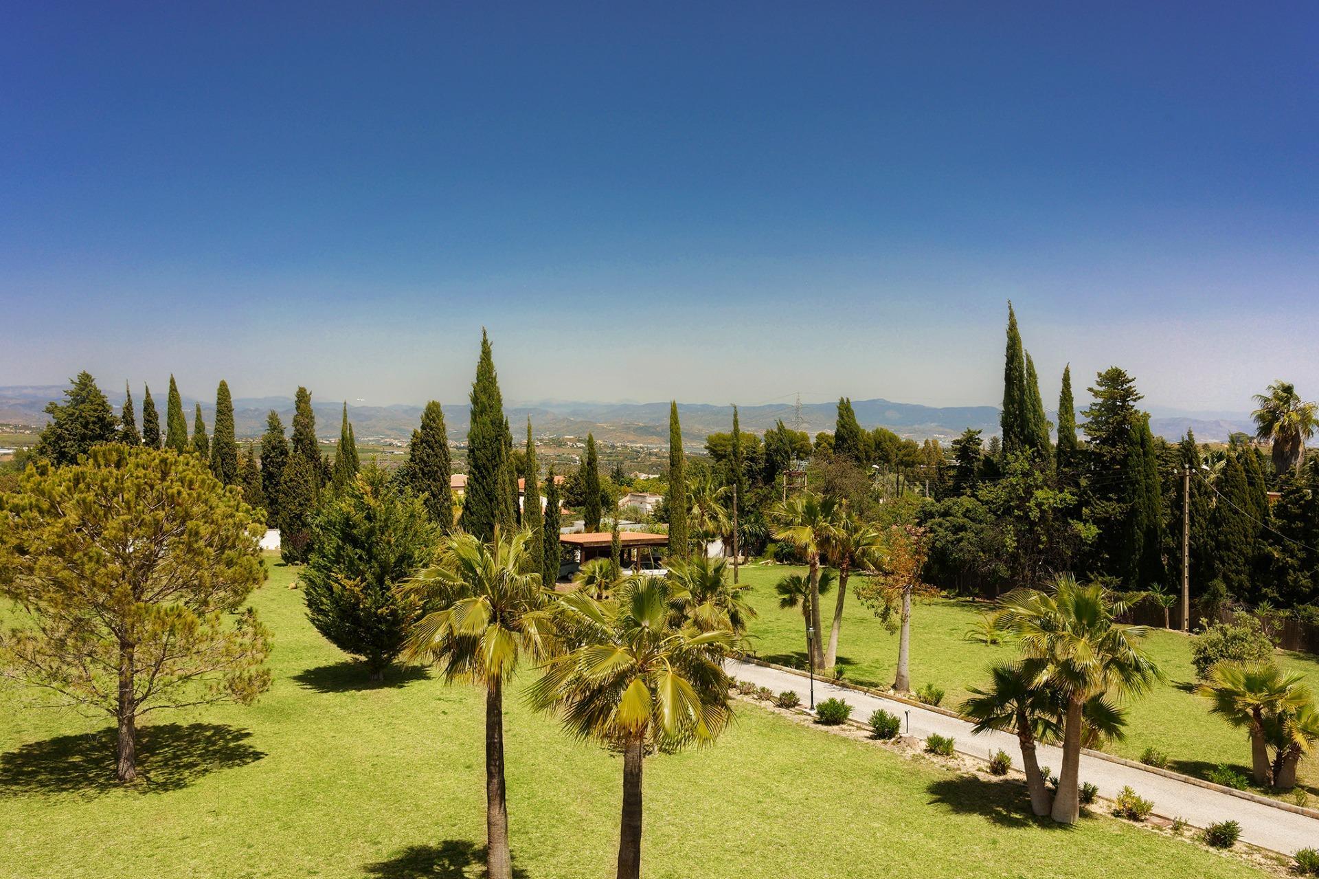 Casas o chalets-Venta-AlhaurÃ­n de la Torre-1401728-Foto-8