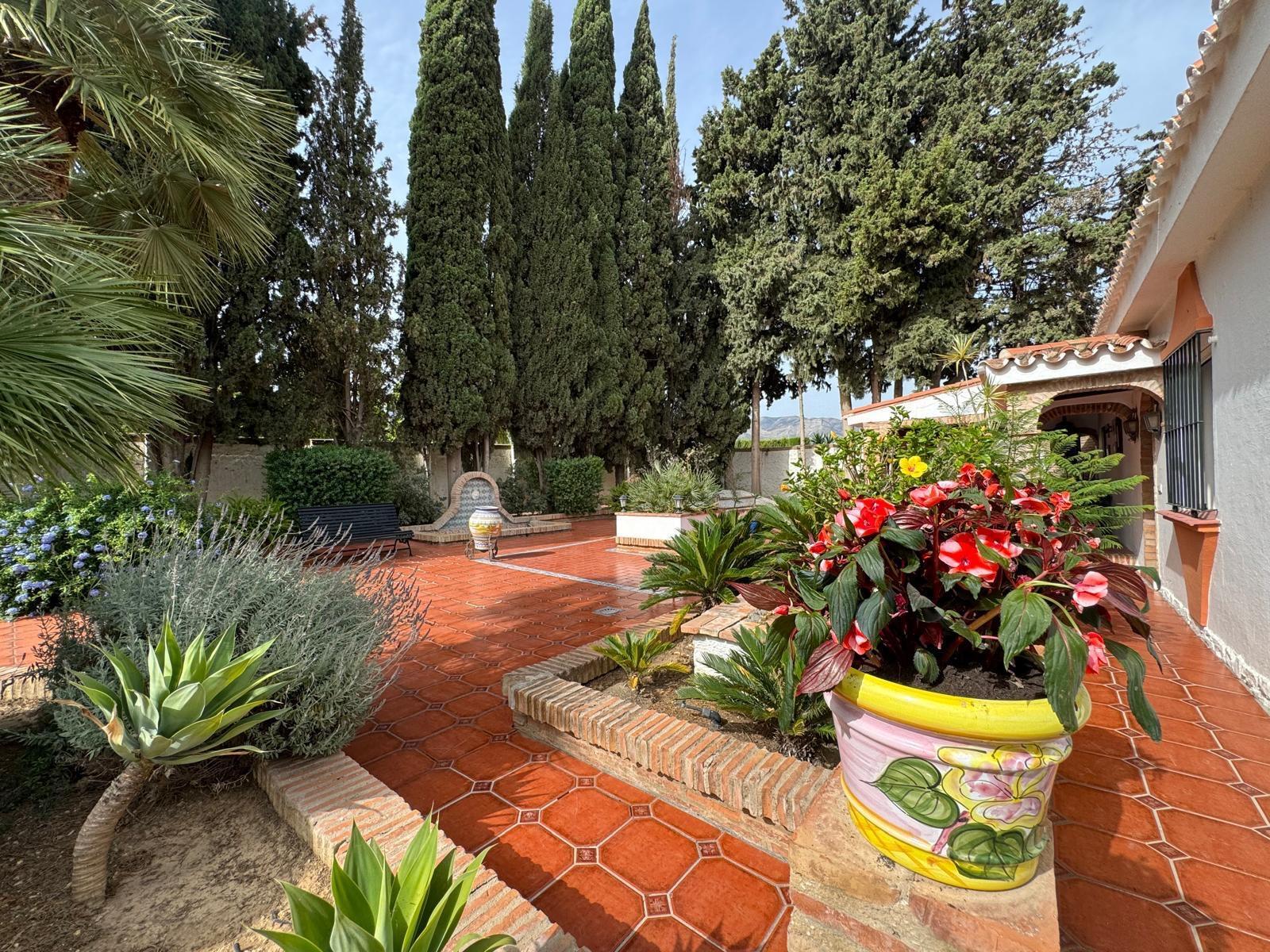 Casas o chalets-Venta-AlhaurÃ­n de la Torre-1401728-Foto-24