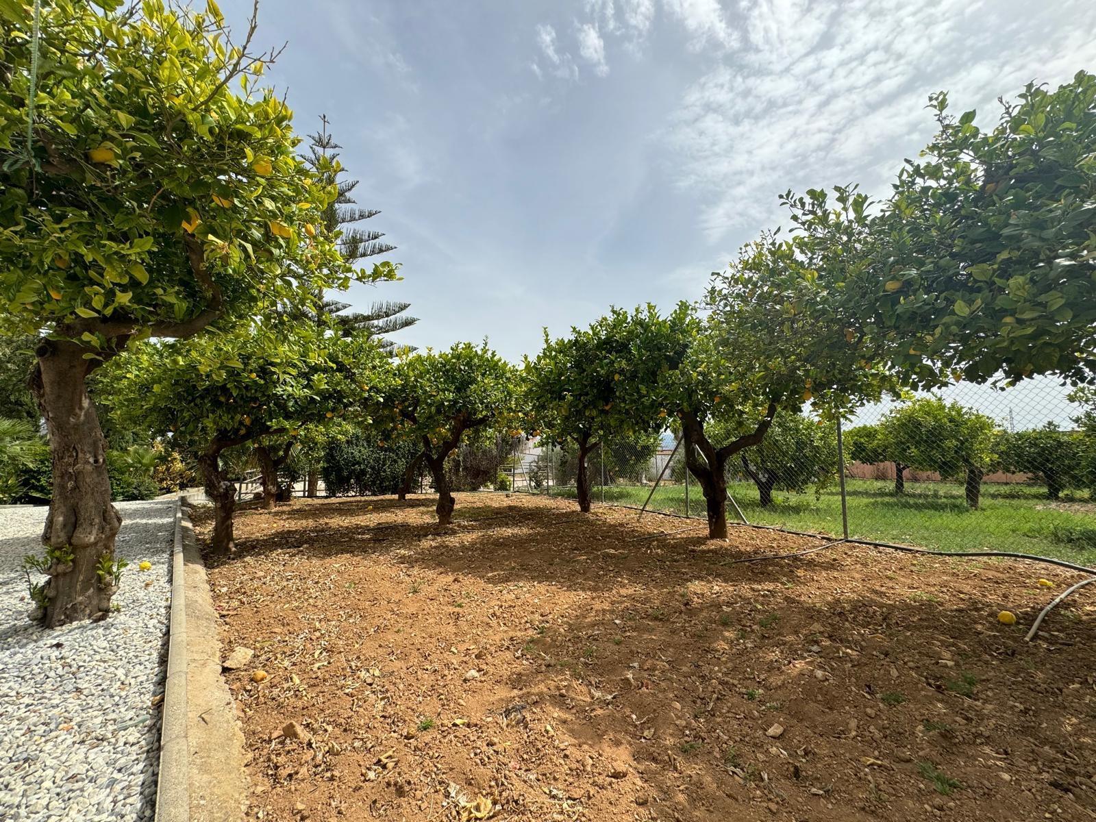 Casas o chalets-Venta-AlhaurÃ­n de la Torre-1401728-Foto-34