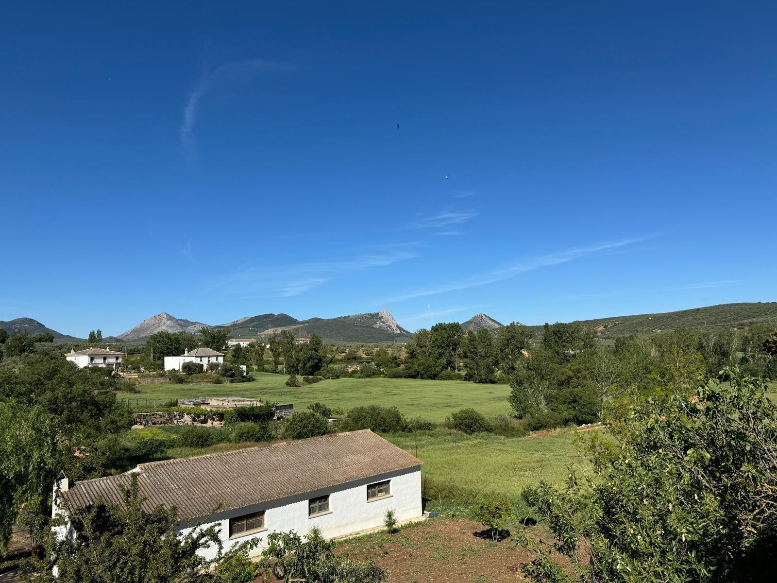 Casas o chalets-Venta-Villanueva del Rosario-1094526-Foto-48