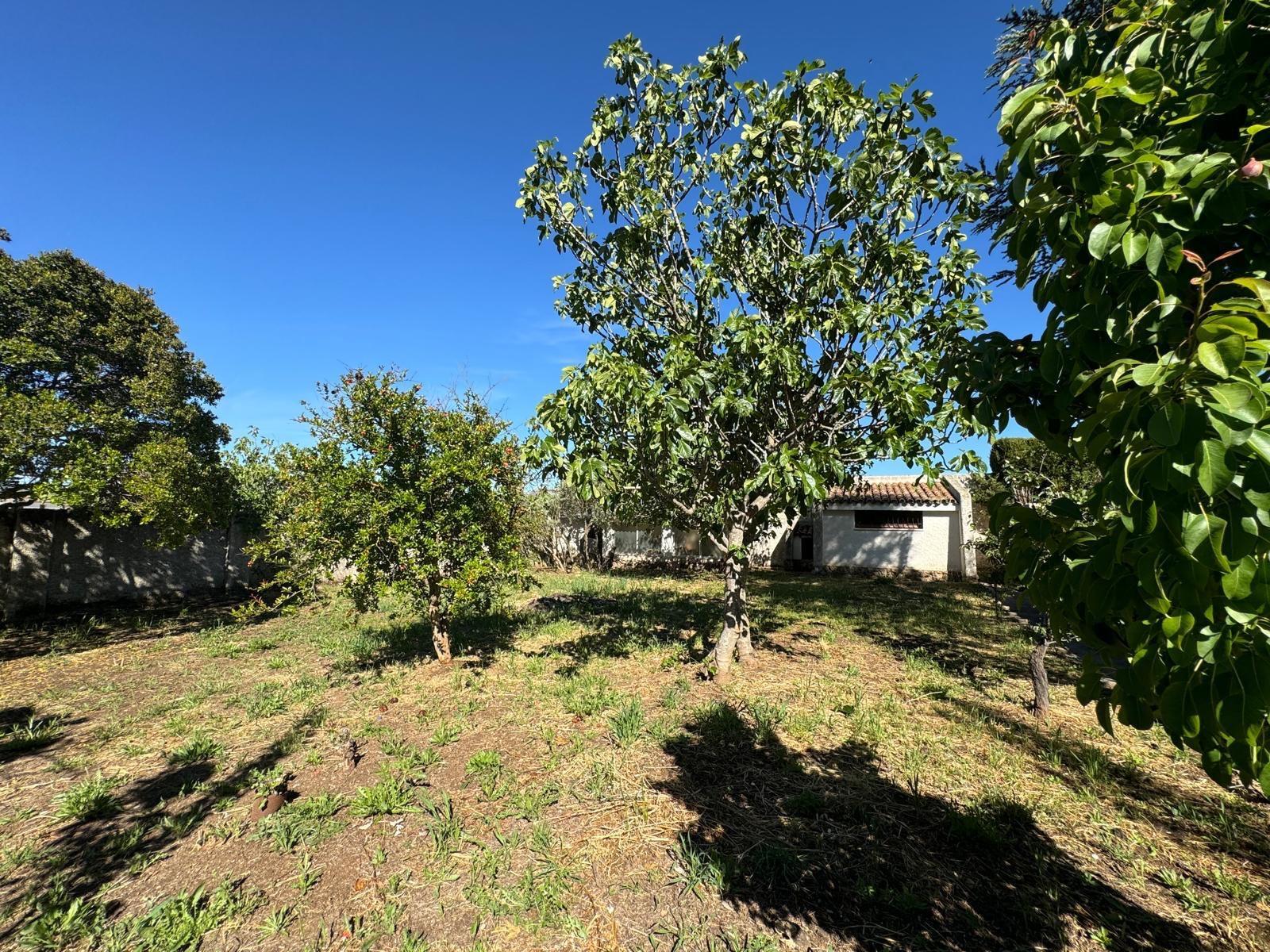 Casas o chalets-Venta-Villanueva del Rosario-1094526-Foto-51