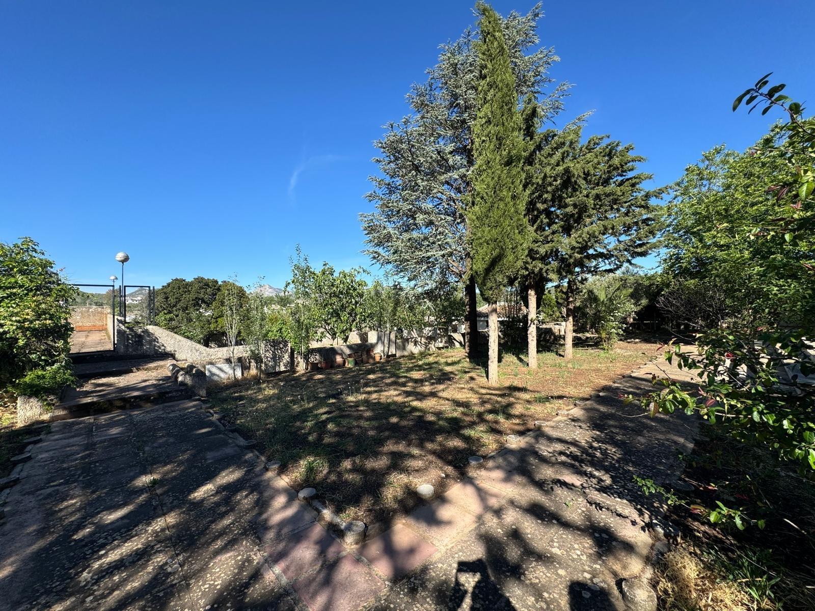 Casas o chalets-Venta-Villanueva del Rosario-1094526-Foto-54