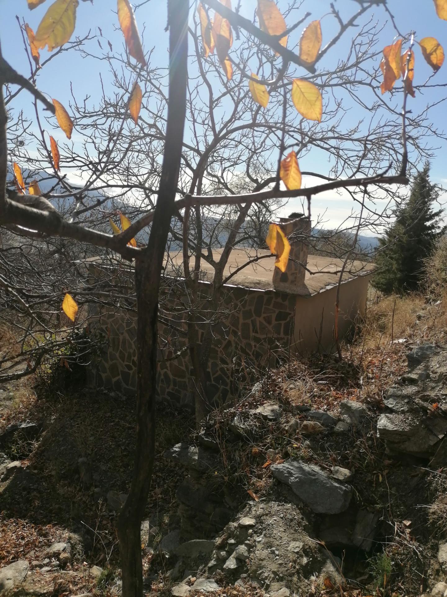 Fincas y solares-Venta-Nevada-1520369-Foto-5