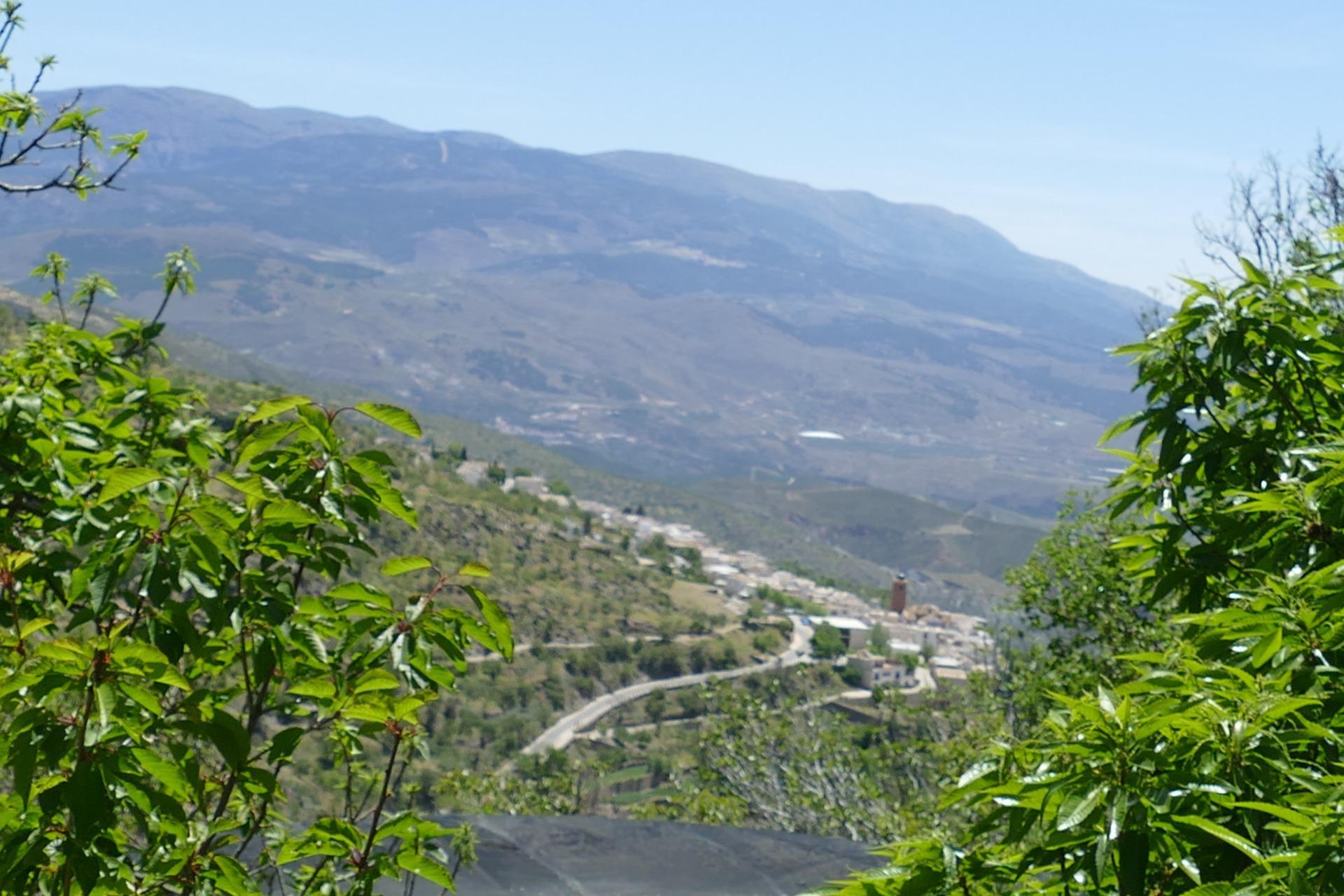 Fincas y solares-Venta-Nevada-1520369-Foto-9
