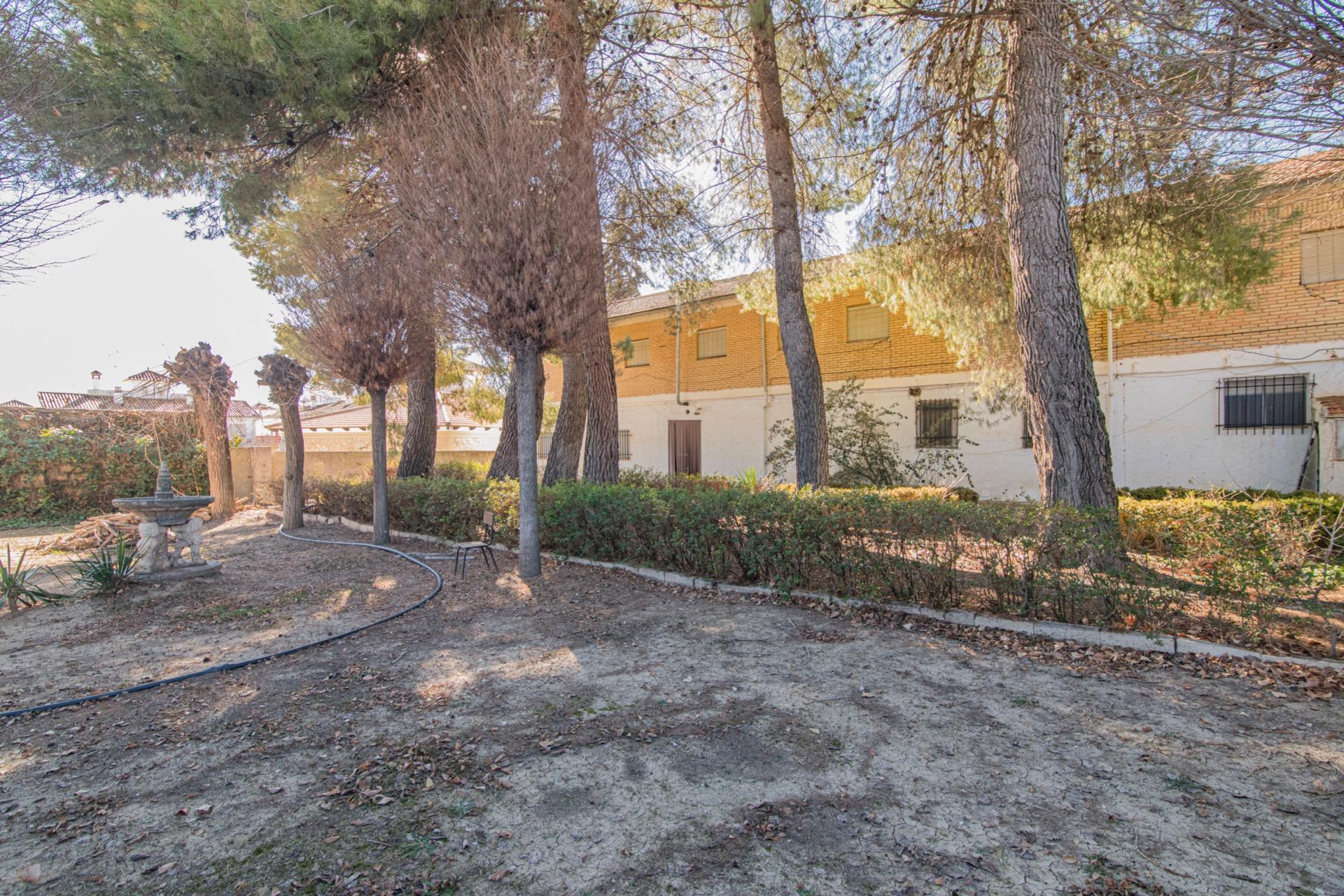 Edificios-Venta-Guadahortuna-1535614-Foto-65