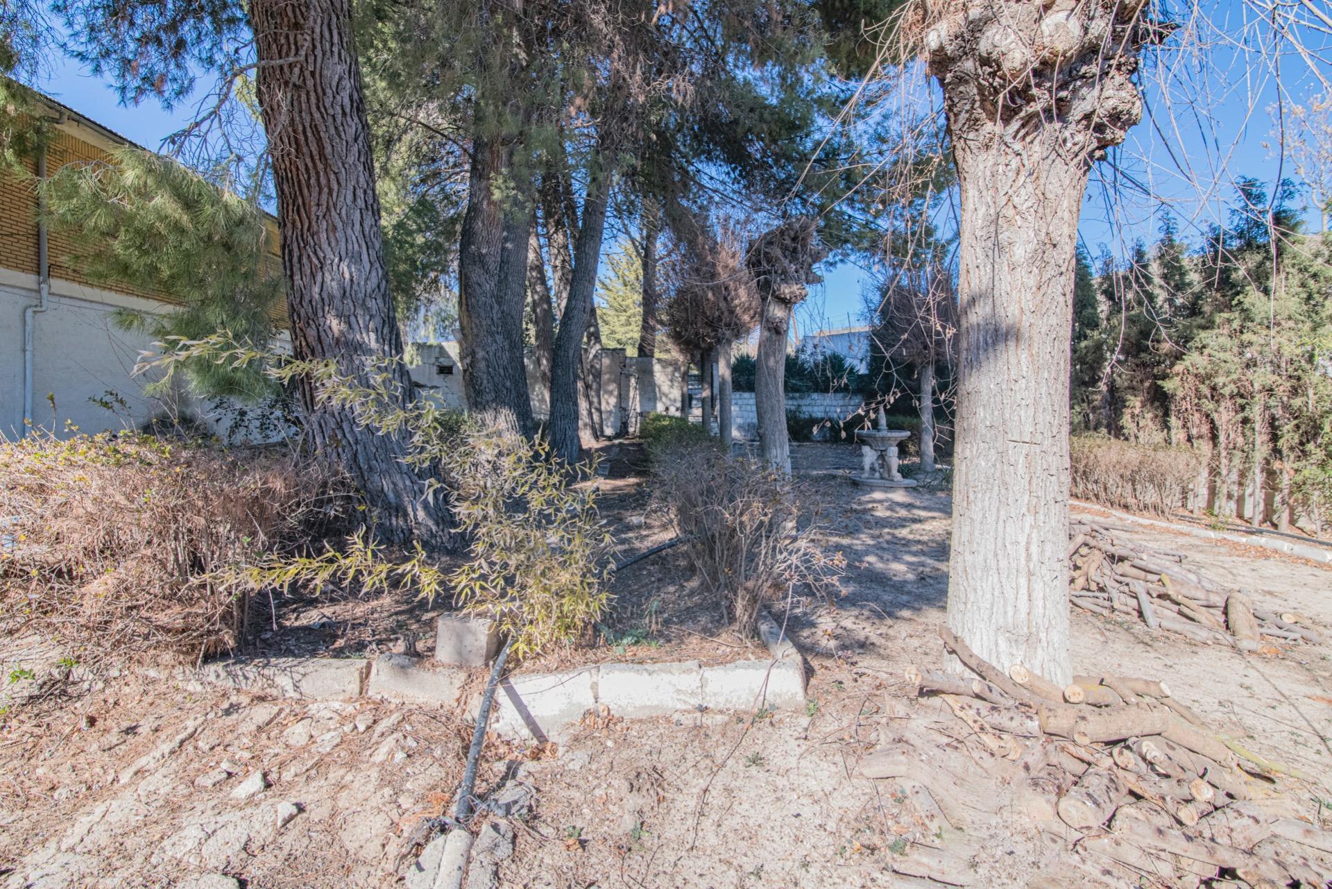 Edificios-Venta-Guadahortuna-1535614-Foto-64