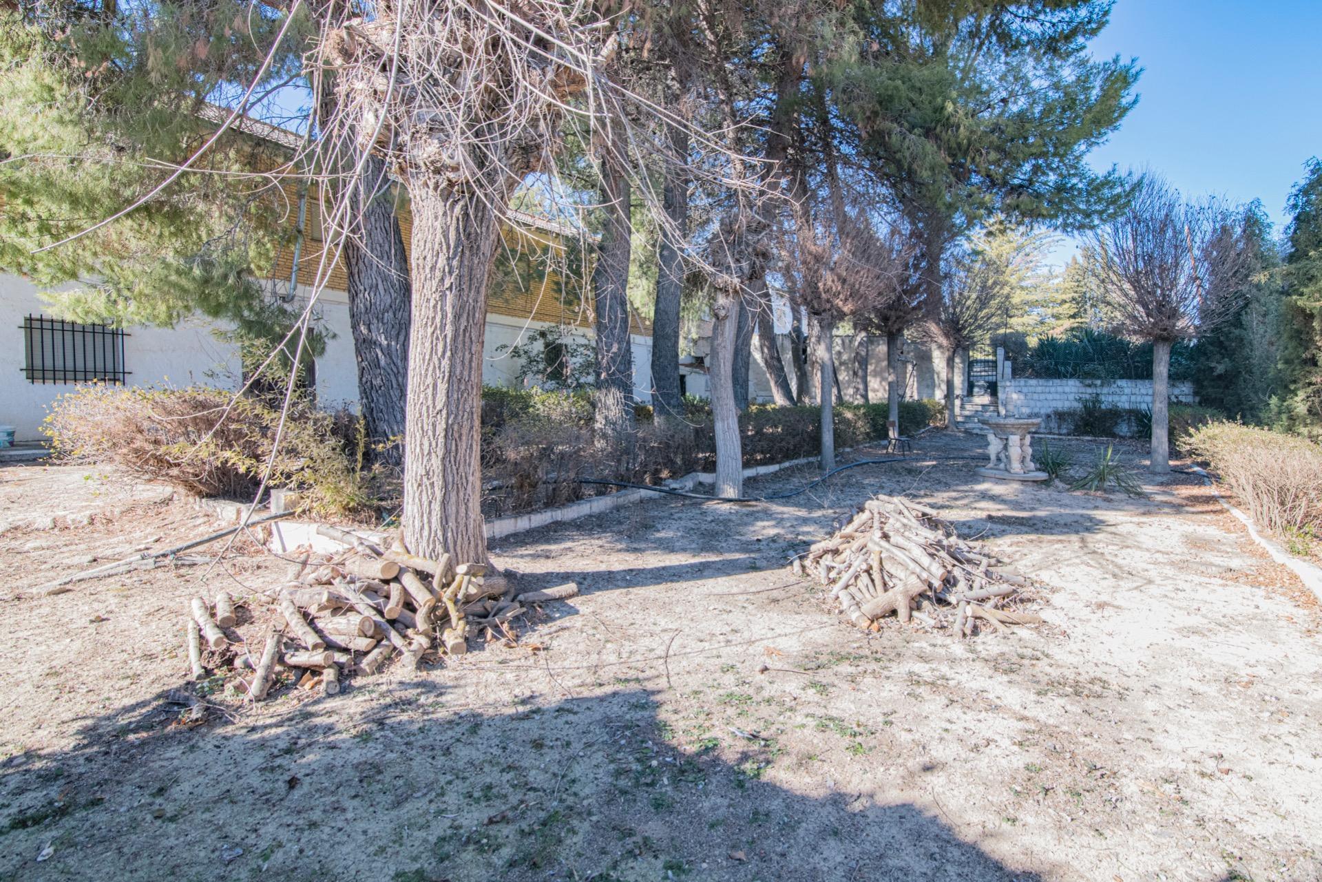 Edificios-Venta-Guadahortuna-1535614-Foto-71