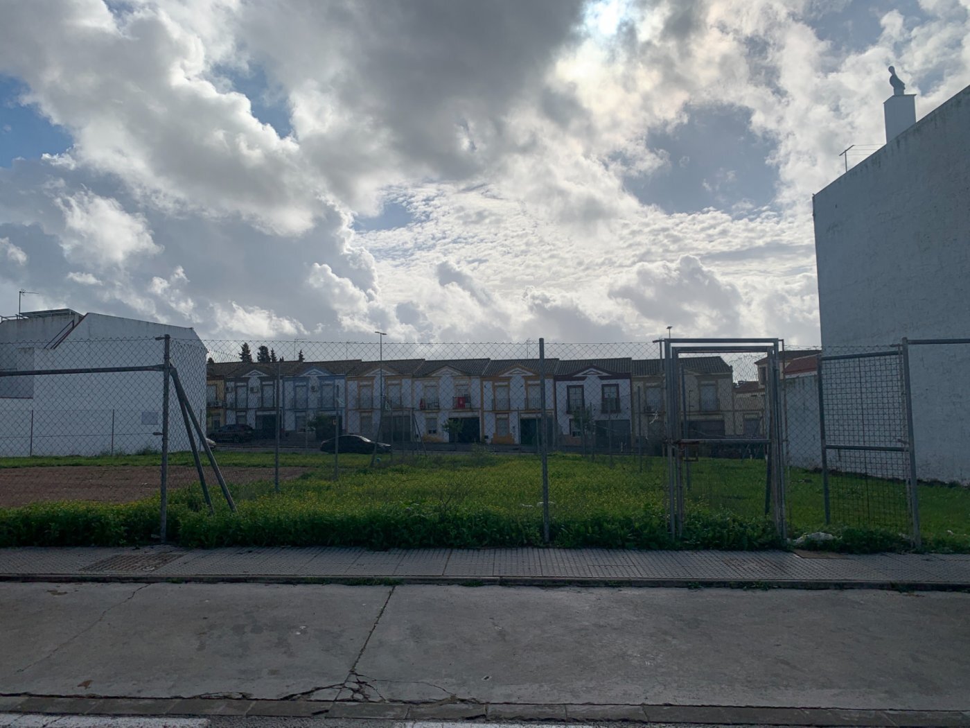 Fincas y solares-Venta-Cantillana-781871-Foto-4