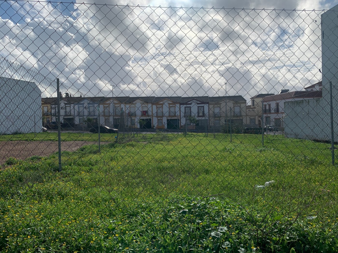 Fincas y solares-Venta-Cantillana-781871-Foto-2