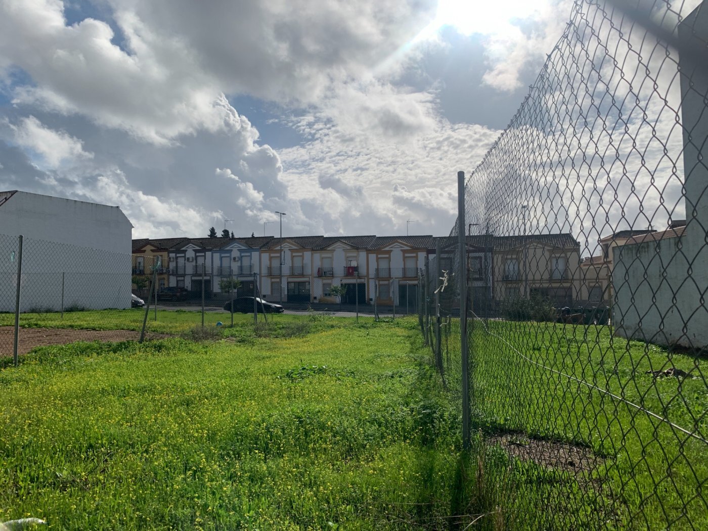 Fincas y solares-Venta-Cantillana-781871-Foto-3