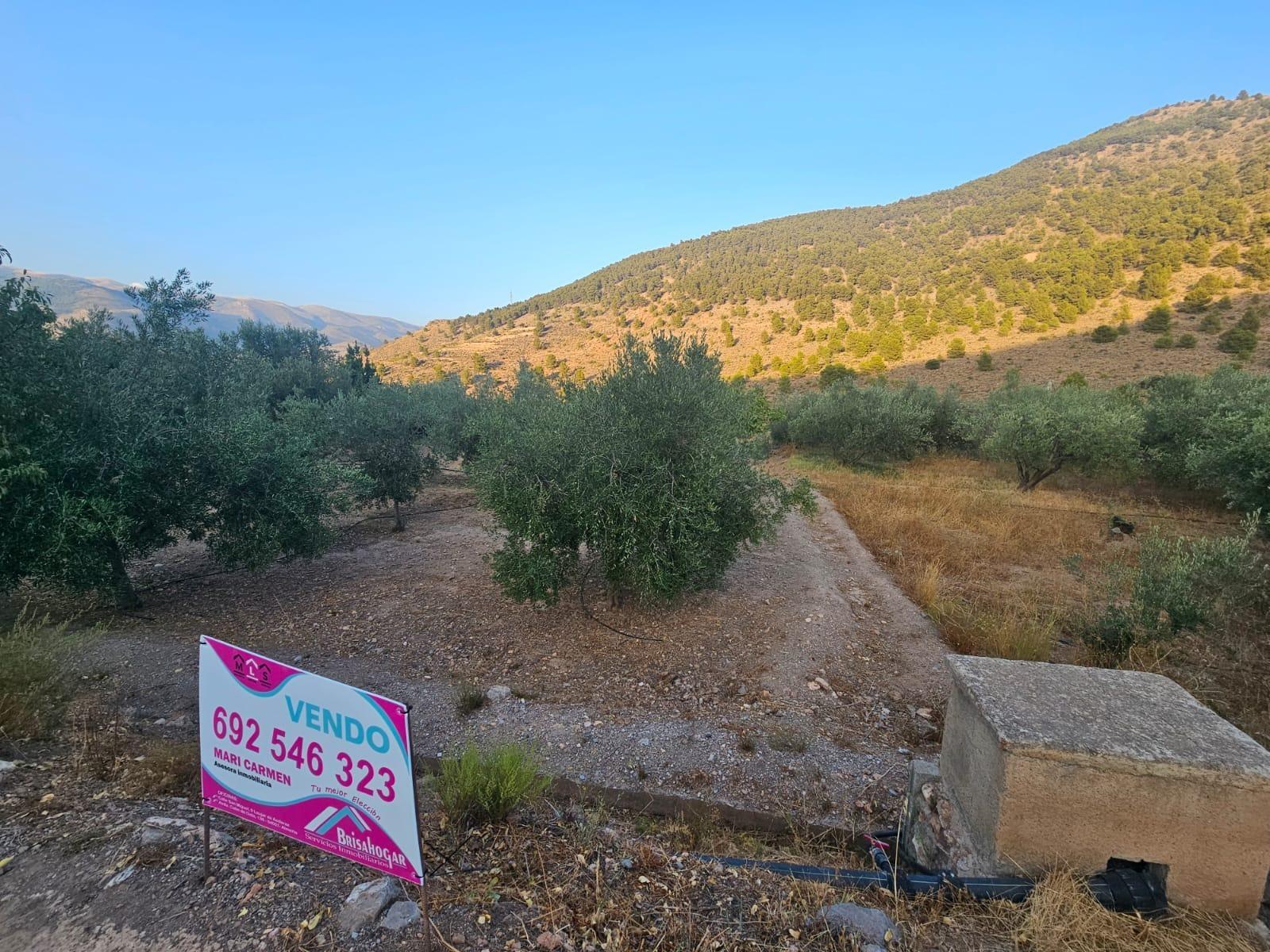 Pisos-Venta-FondÃ³n-1404795-Foto-2