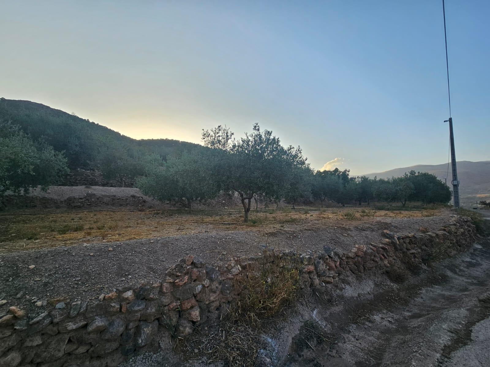 Pisos-Venta-FondÃ³n-1404795-Foto-4
