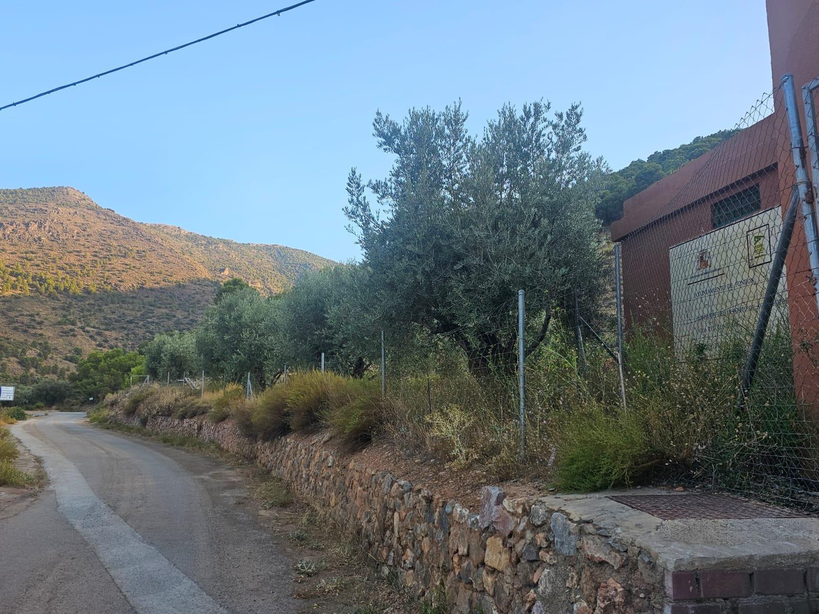 Pisos-Venta-FondÃ³n-1404795-Foto-3