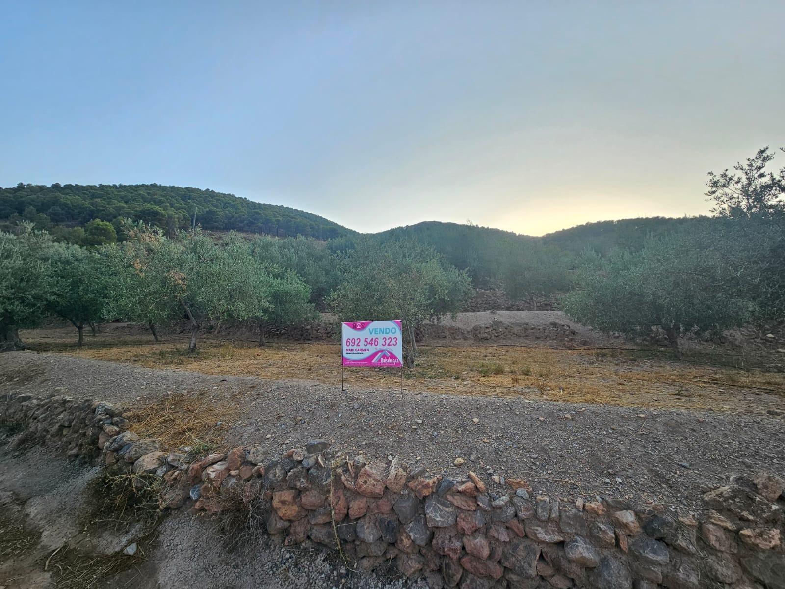 Pisos-Venta-FondÃ³n-1404795-Foto-6
