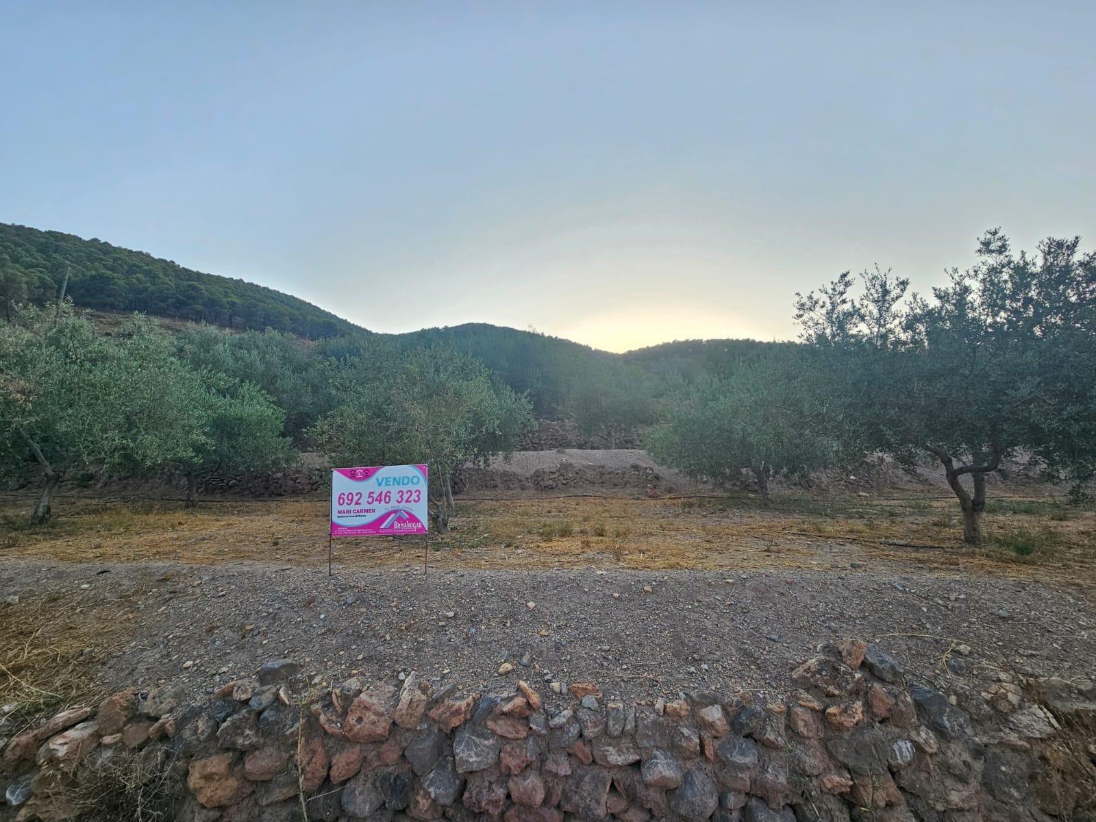 Pisos-Venta-FondÃ³n-1404795-Foto-7